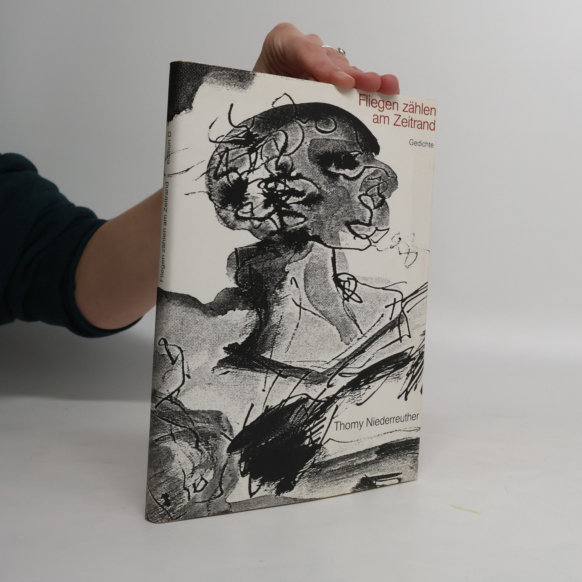 Fliegen Zählen Am Zeitrand. Gedichte
