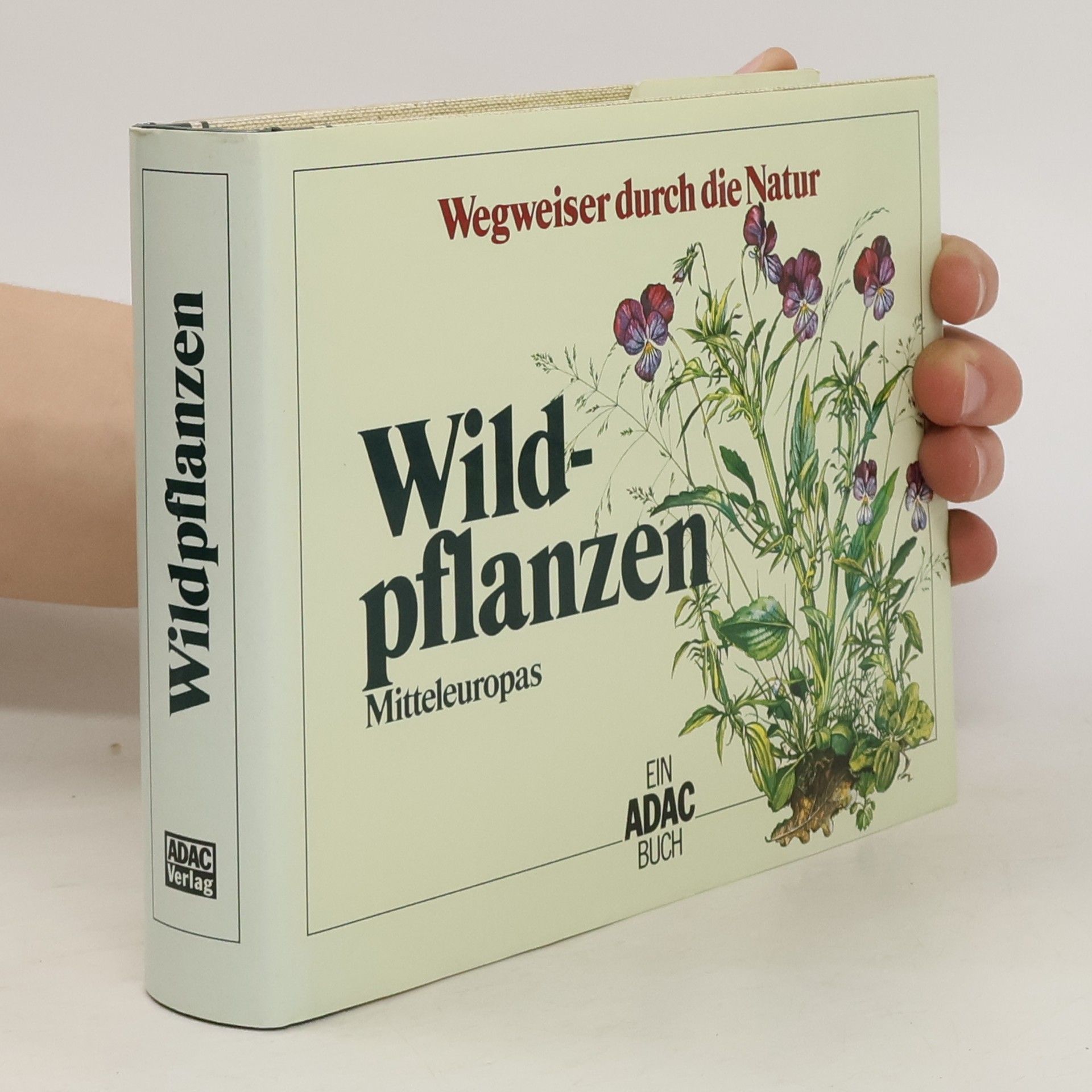 Collectif d'auteurs Wildpflanzen. Mitteleuropas