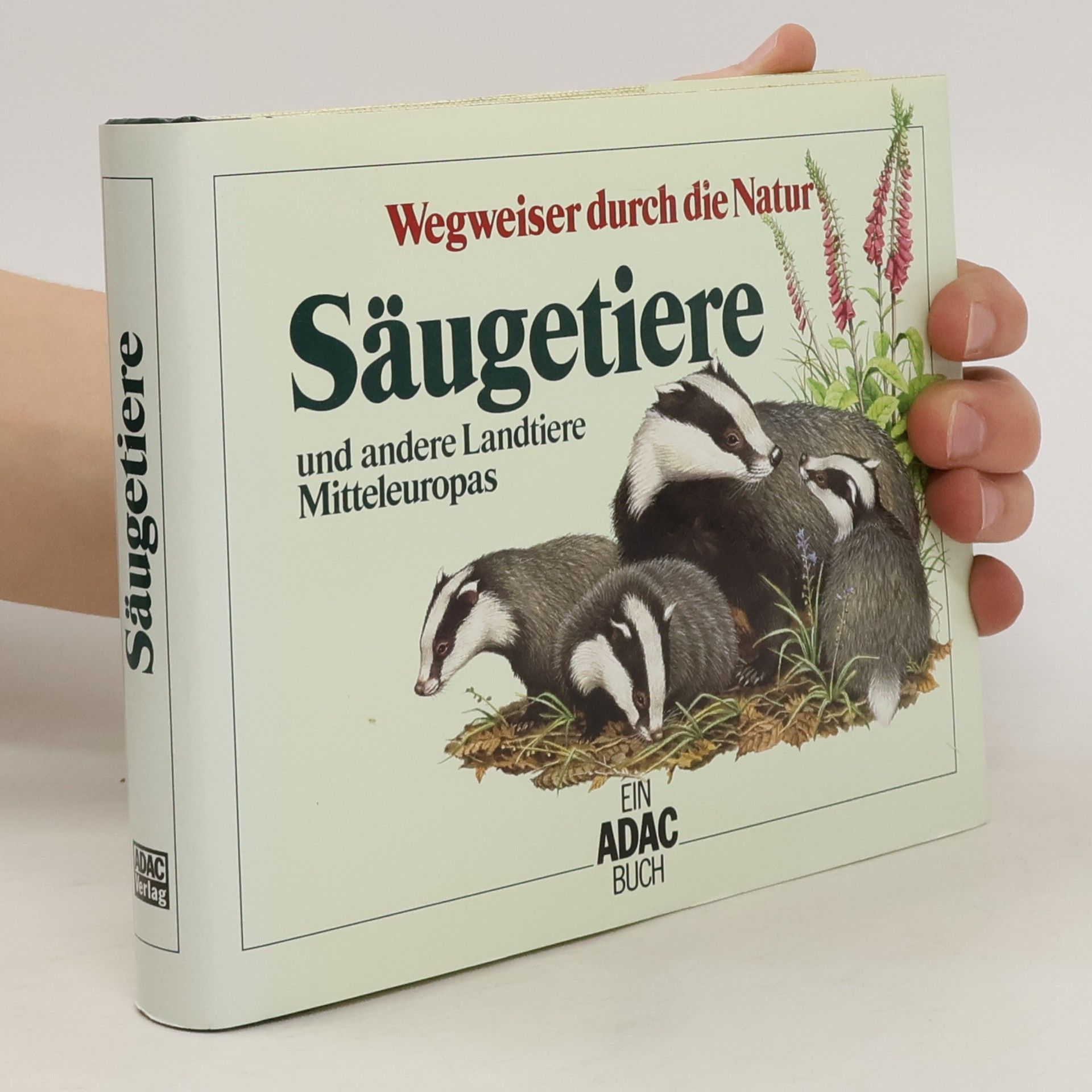 kolektiv Säugetiere und andere Landtiere Mitteleuropas