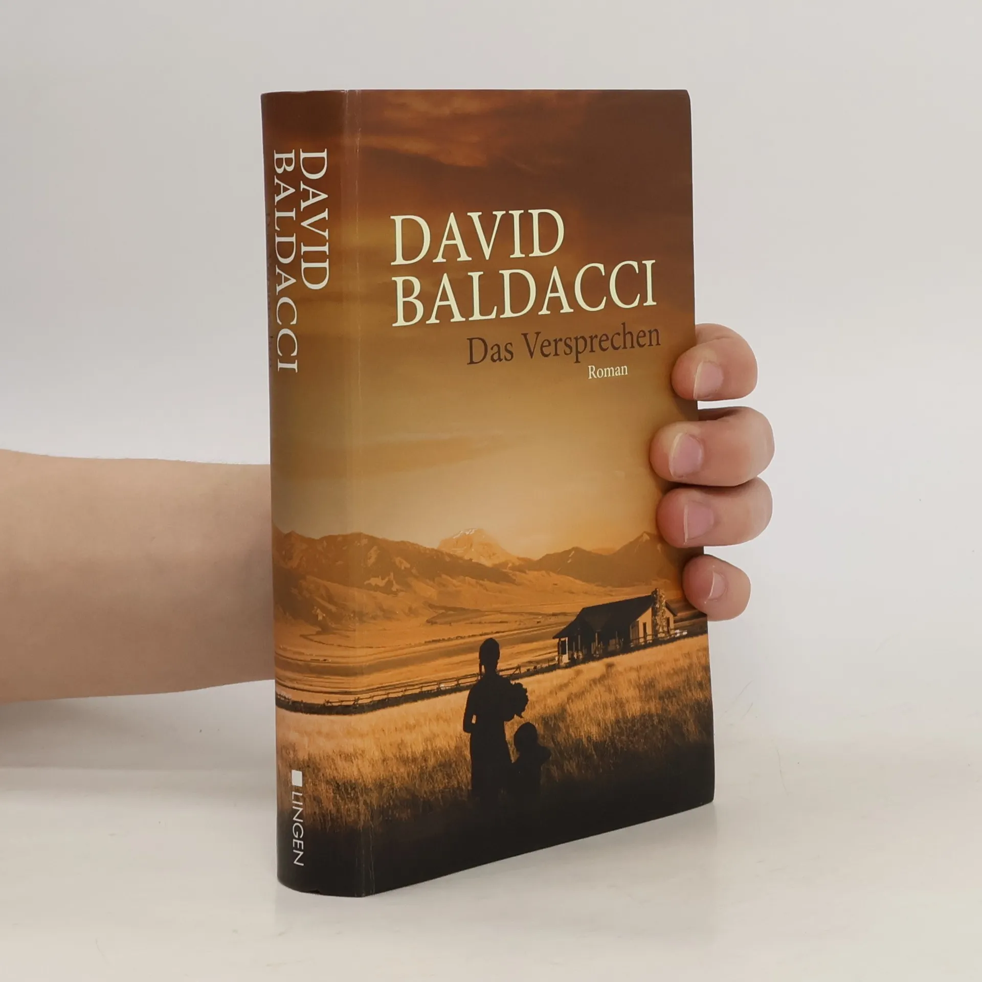 Das Versprechen | Book | Hardcover | David Baldacci | DE