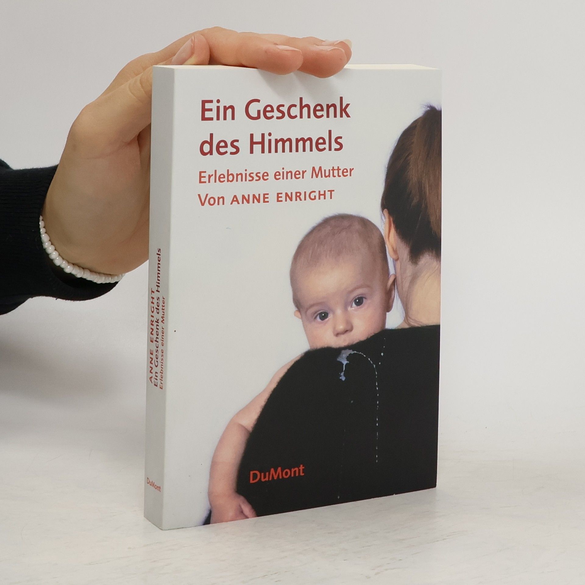 Anne Enright Ein Geschenk des Himmels
