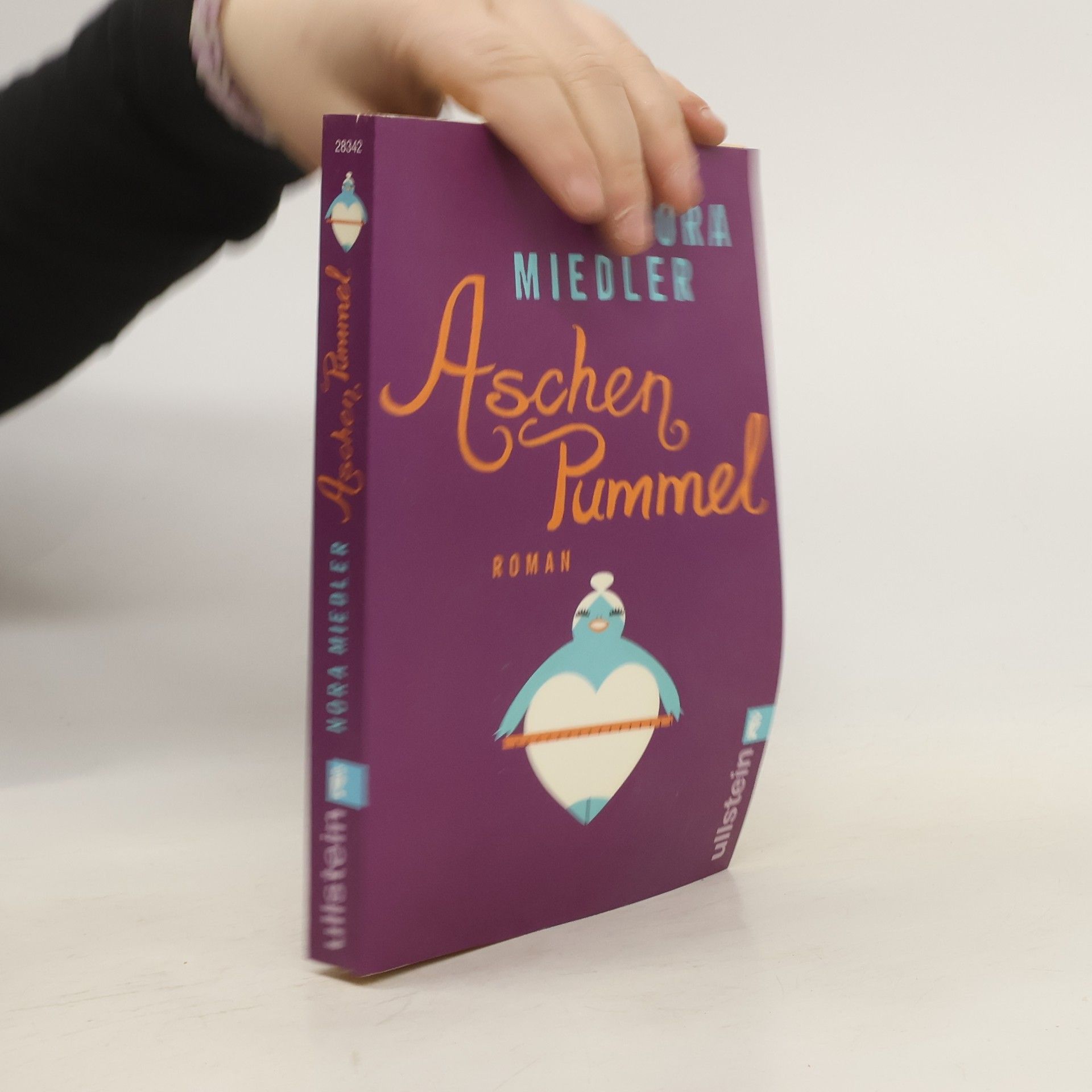 Nora Miedler Aschenpummel