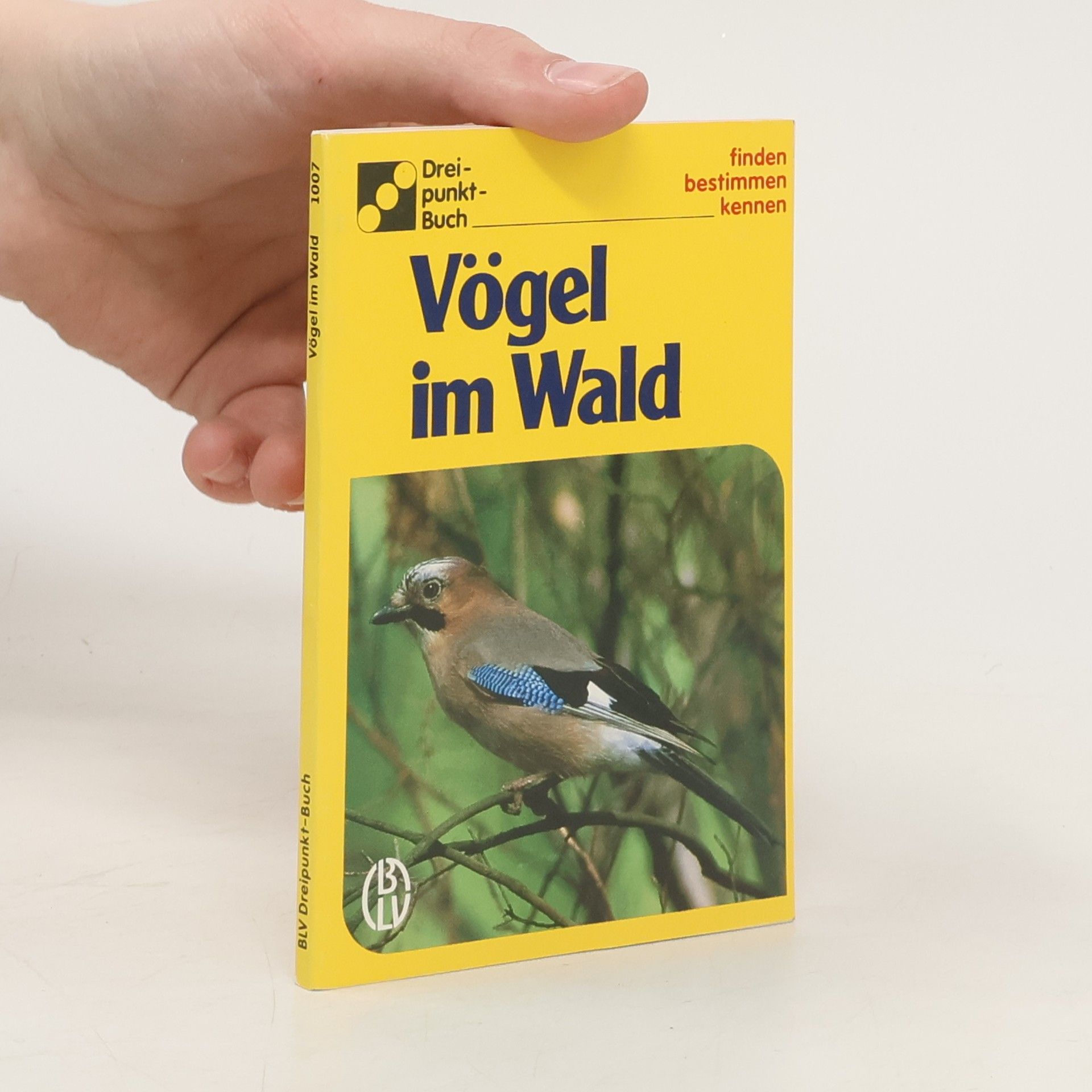 Ute E. Zimmer Vögel im Wald
