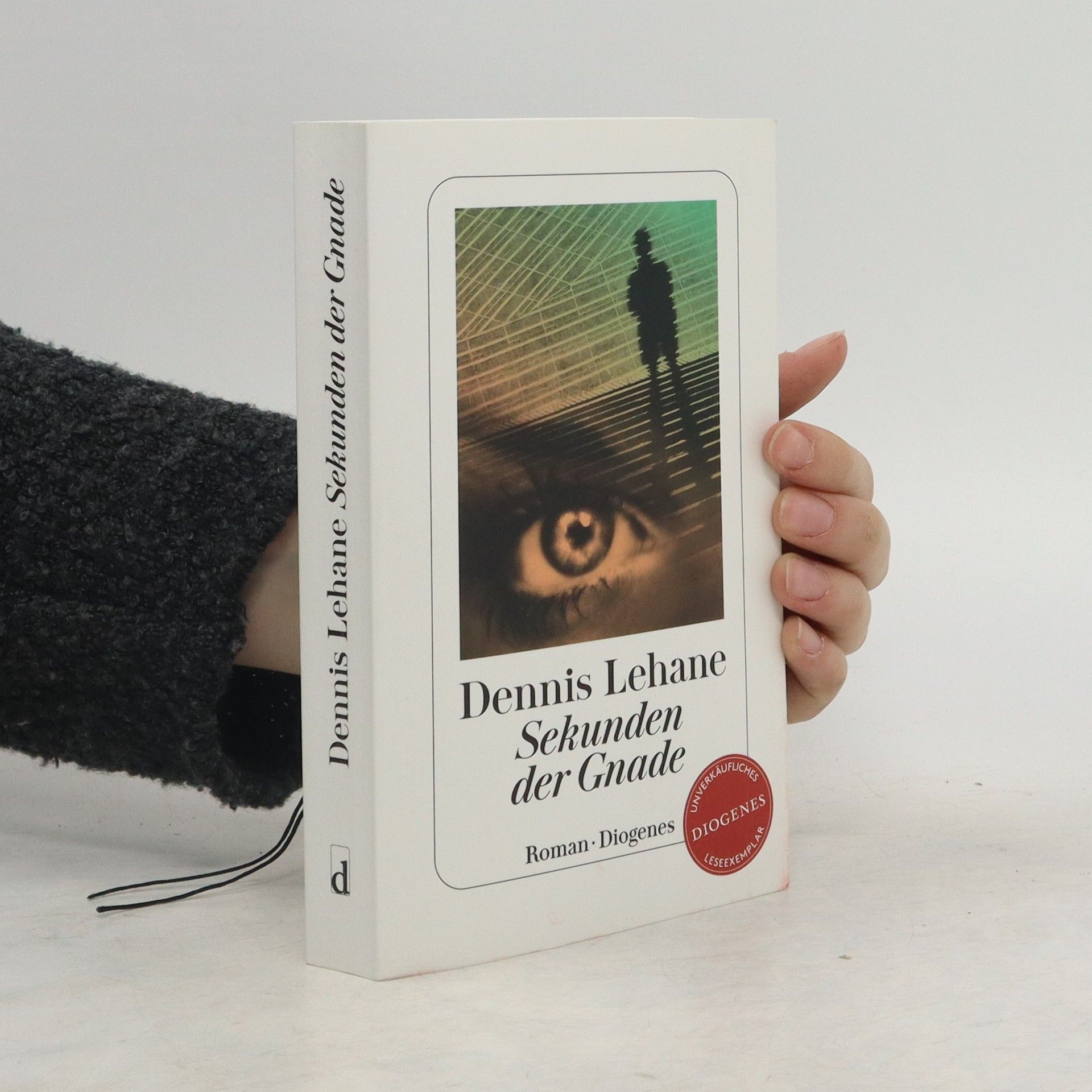 Dennis Lehane Sekunden der Gnade