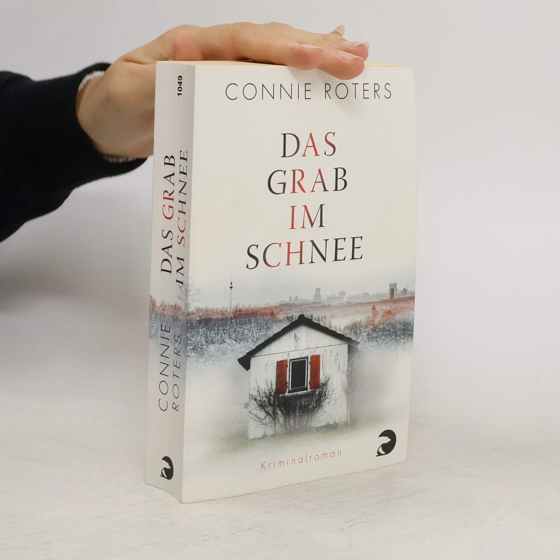 Connie Roters Das Grab im Schnee