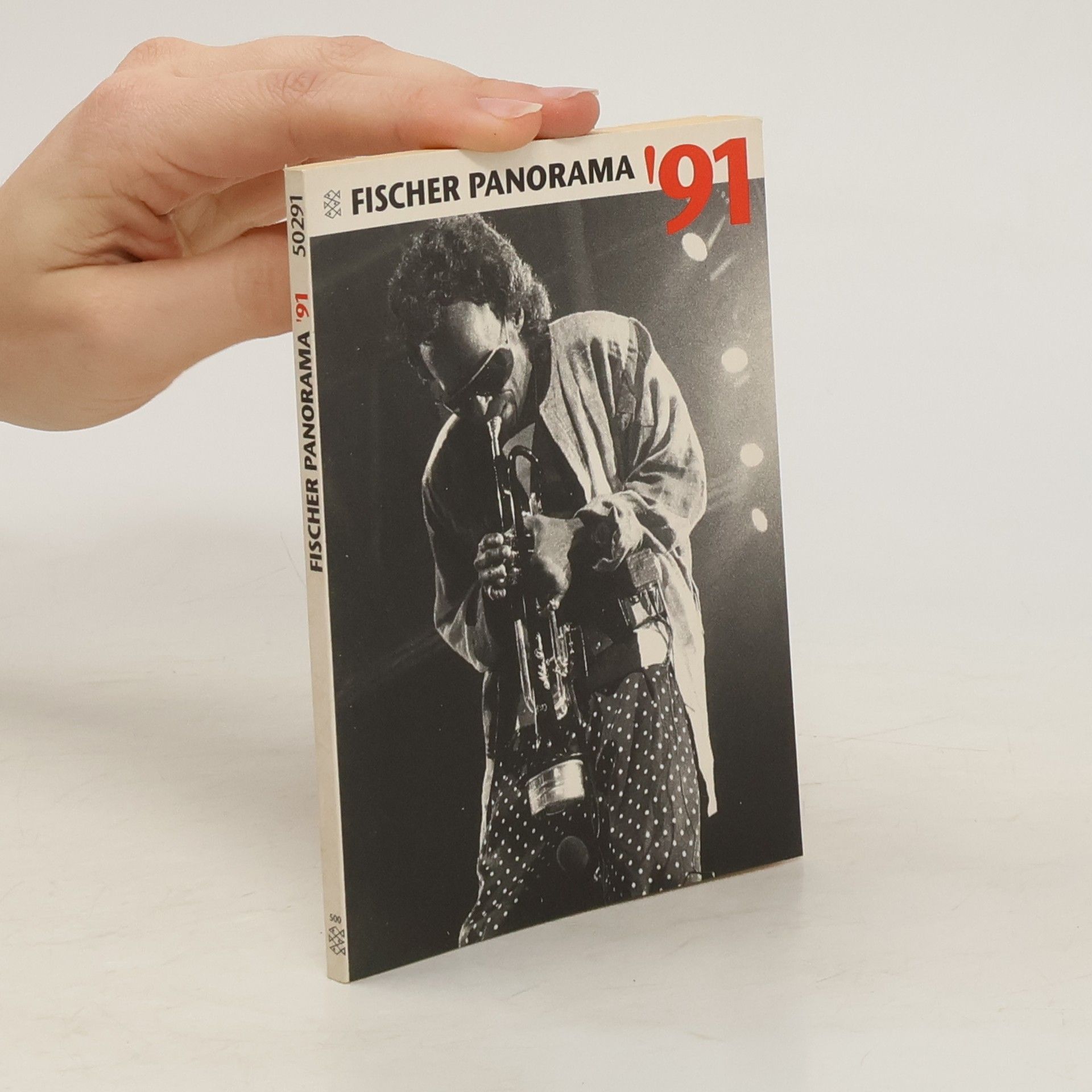 Collectif d'auteurs Fischer Panorama ’91