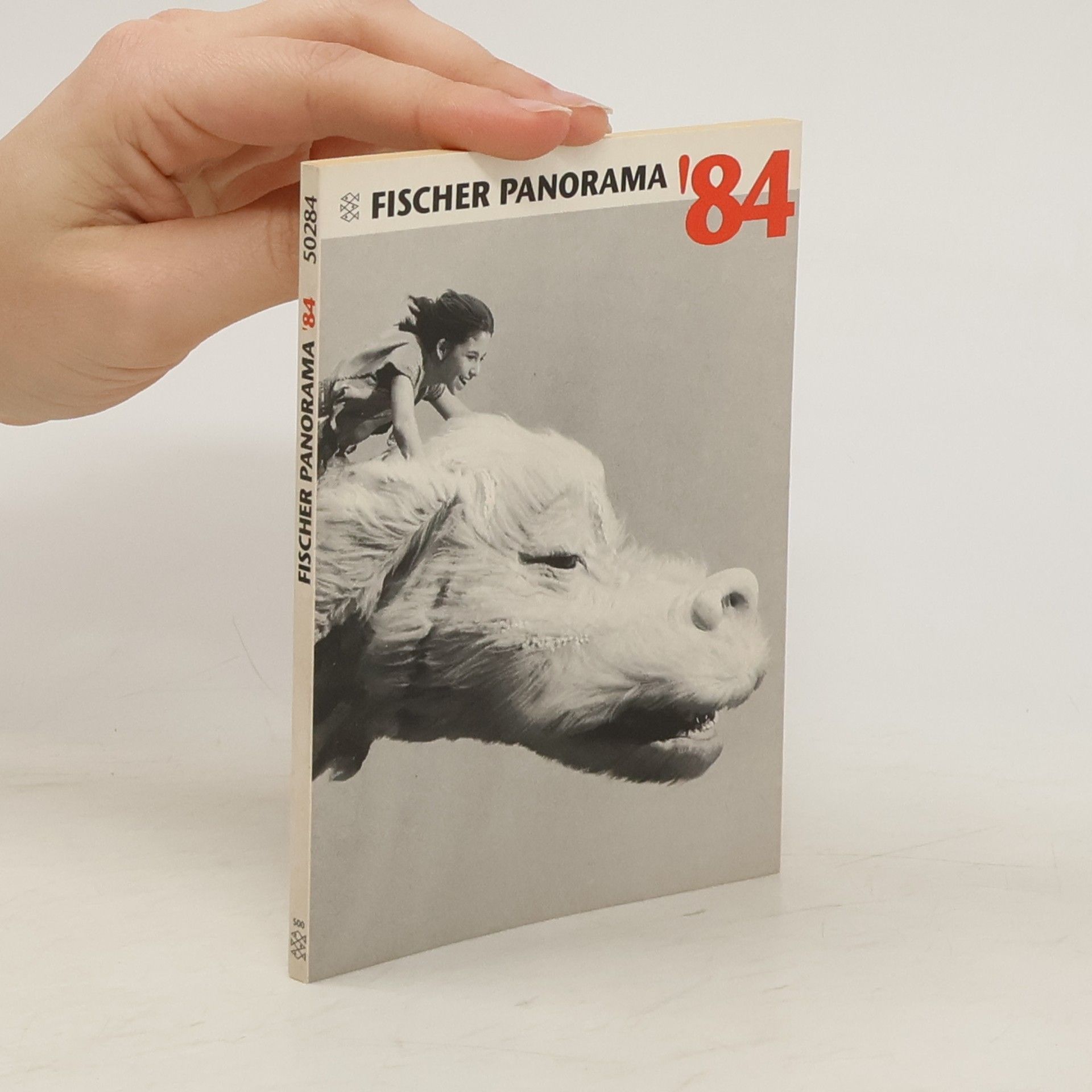 kolektiv Fischer Panorama ’84