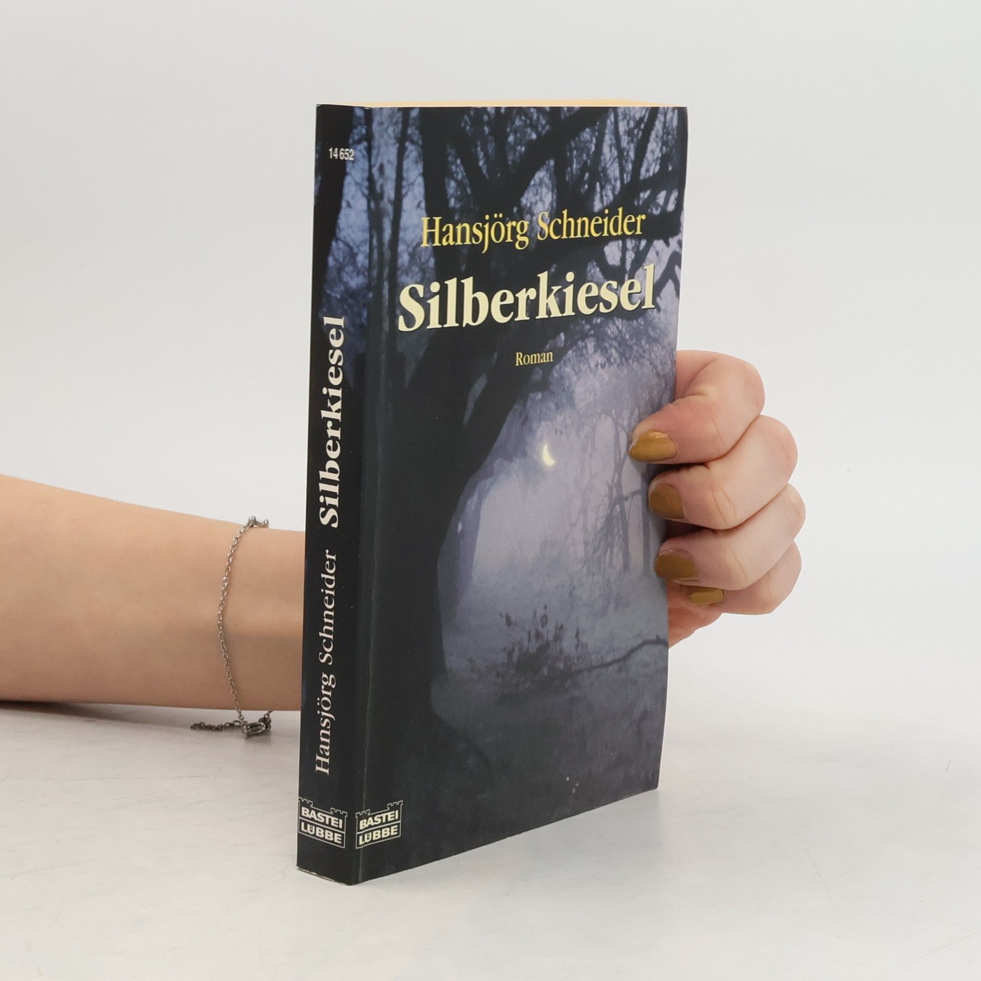 Hansjörg Schneider Silberkiesel