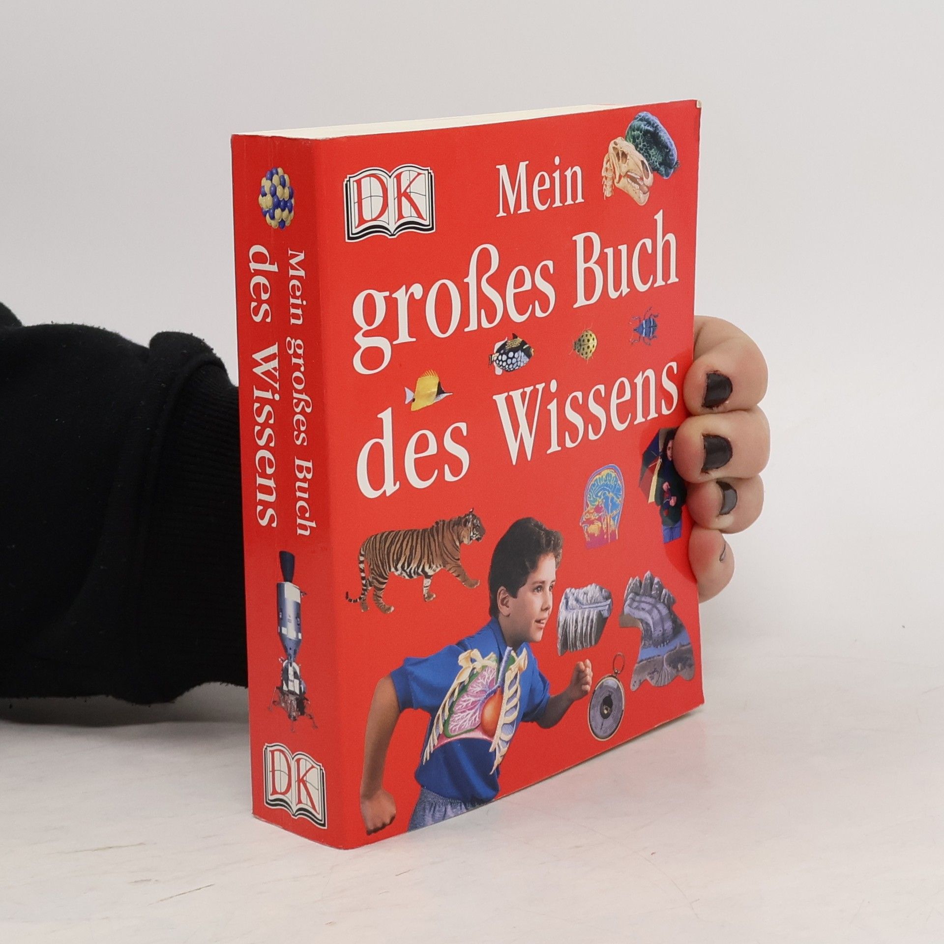 Susanne Härtel Mein großes Buch des Wissens