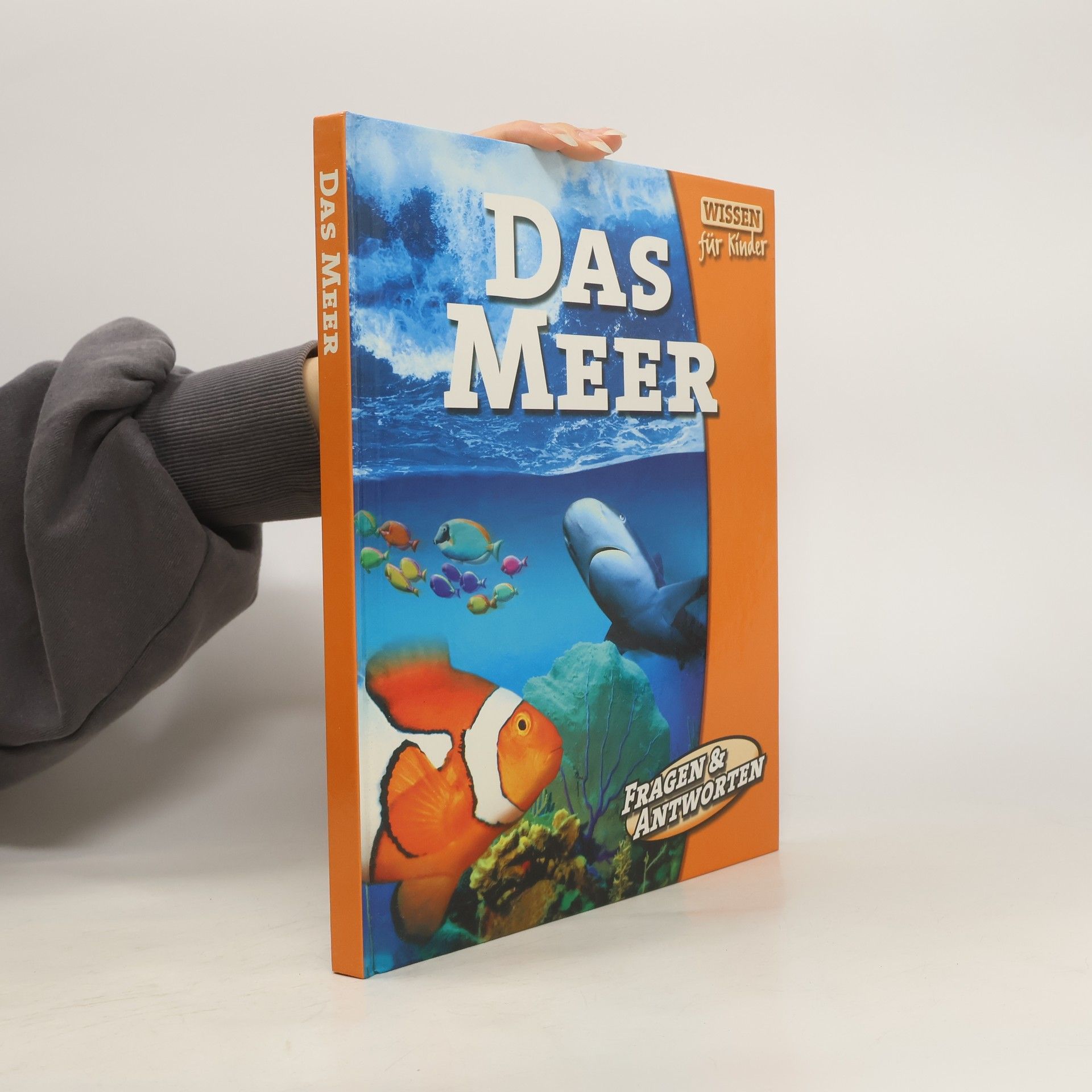 kolektiv Das Meer
