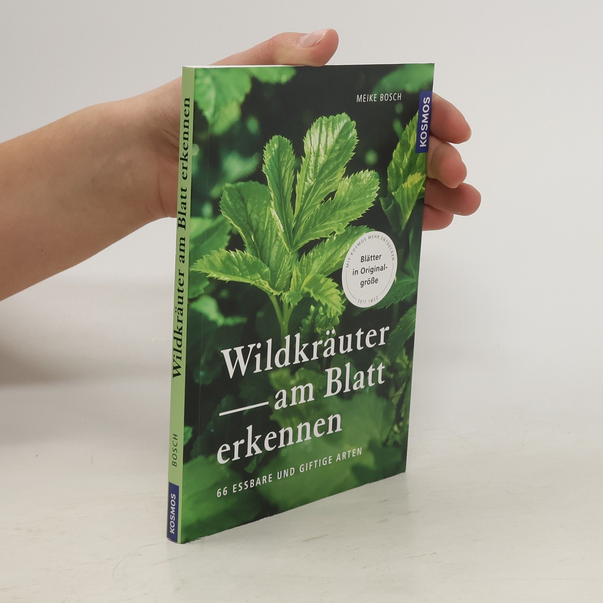 Meike Bosch Wildkräuter am Blatt erkennen