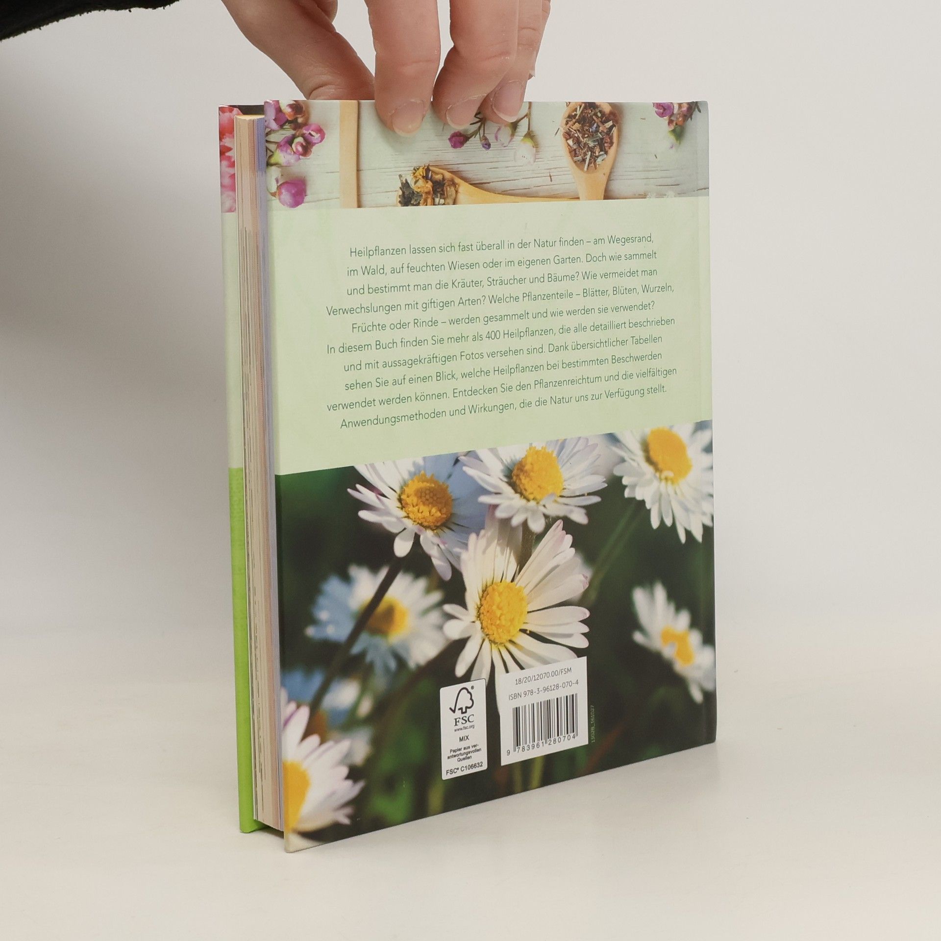 Ute Künkele Heilpflanzen & Kräuter