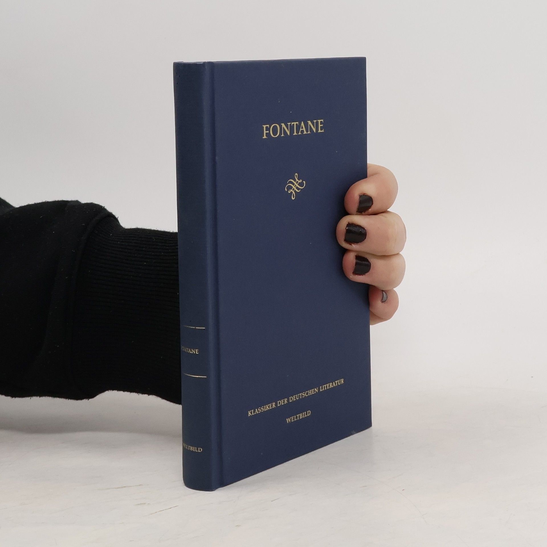 Theodor Fontane Fontane. Die Klassiker der deutschen Literatur