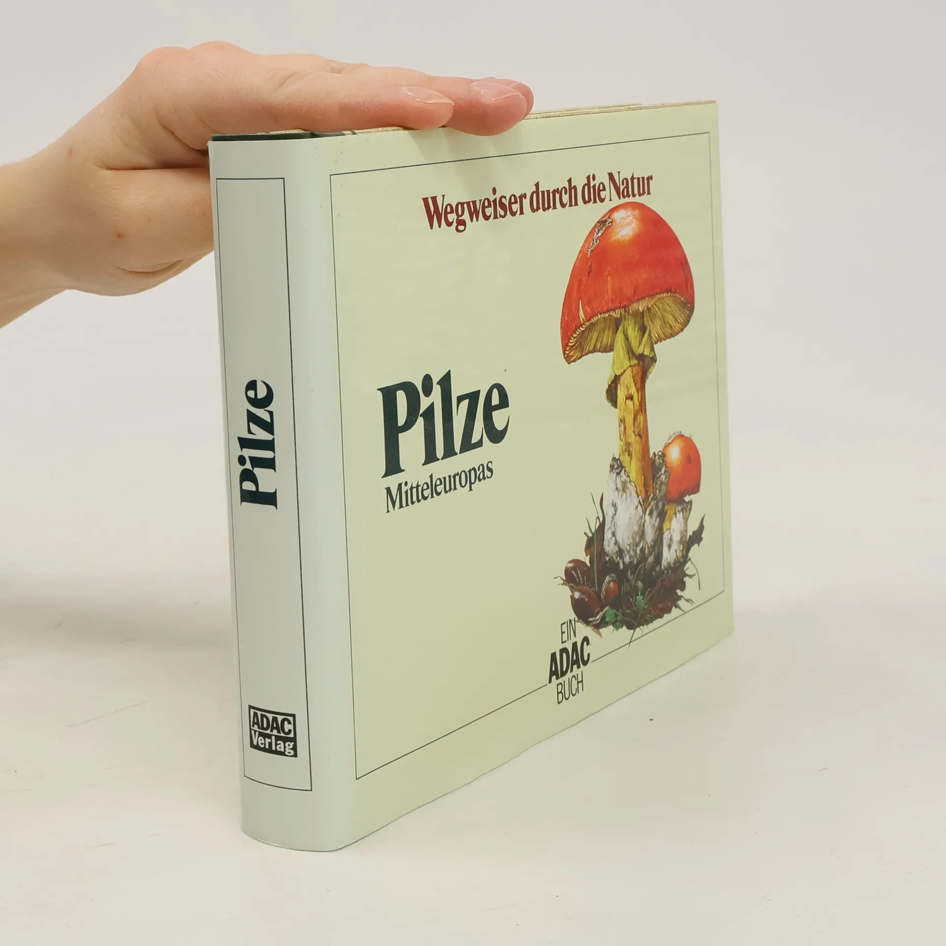Wegweiser durch die Natur. Pilze Mitteleuropas | Buch | Hardcover | Hans Haas