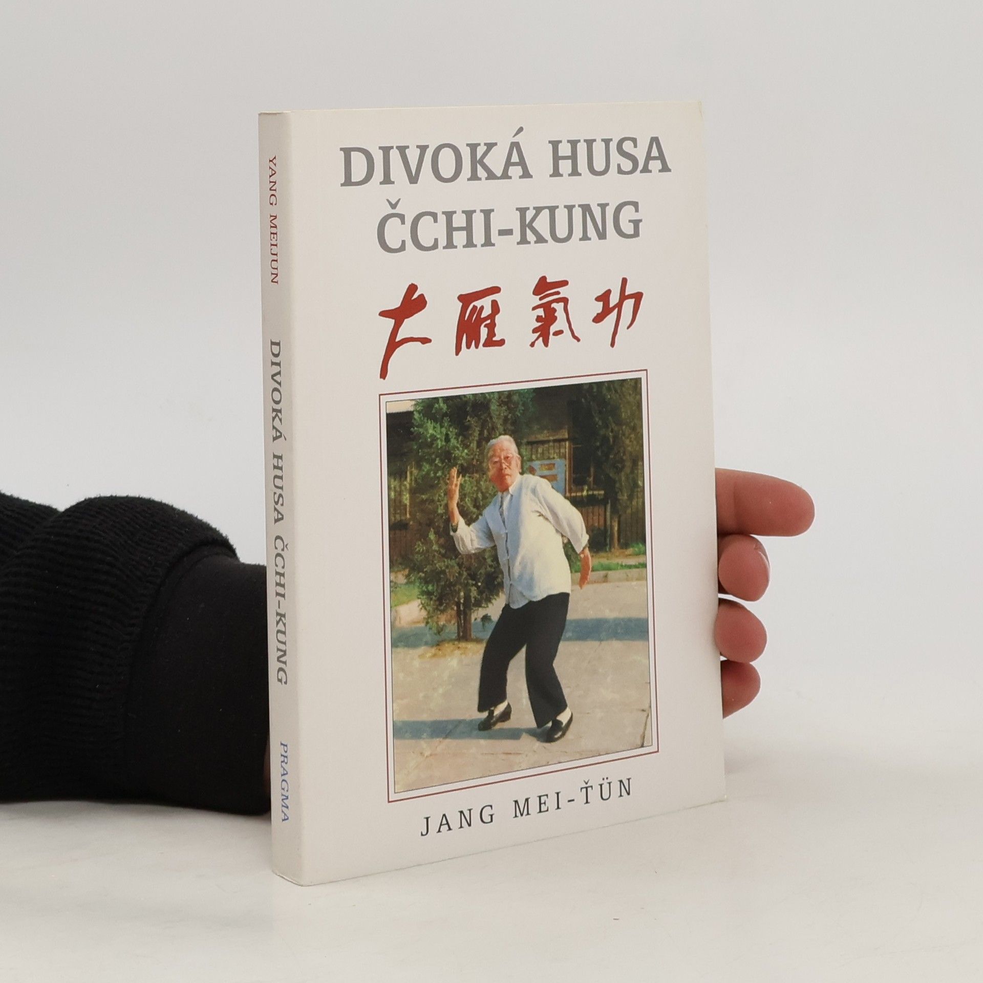 Mei ťün Jang Divoká husa čchi-kung