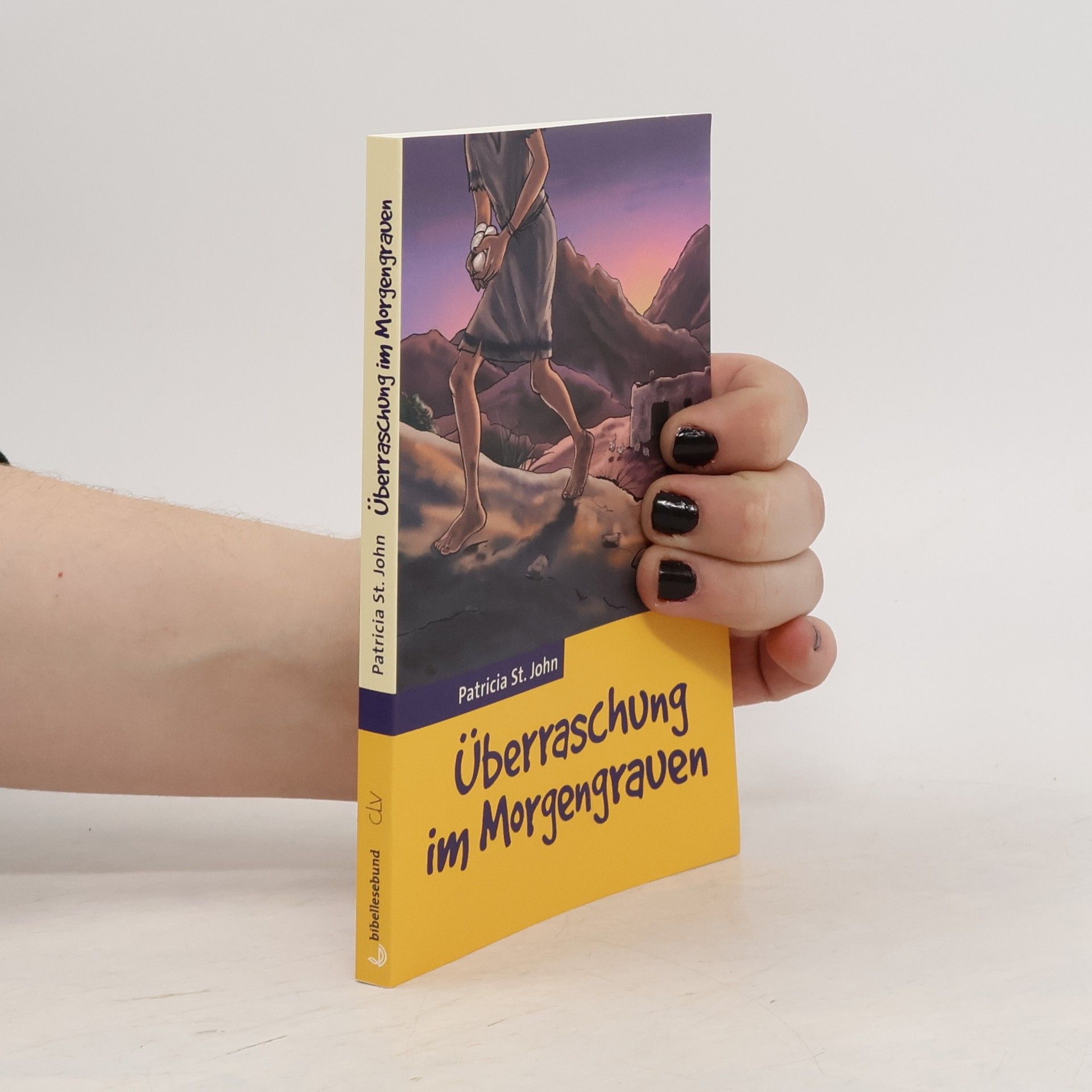 Patricia St. John Überraschung im Morgengrauen