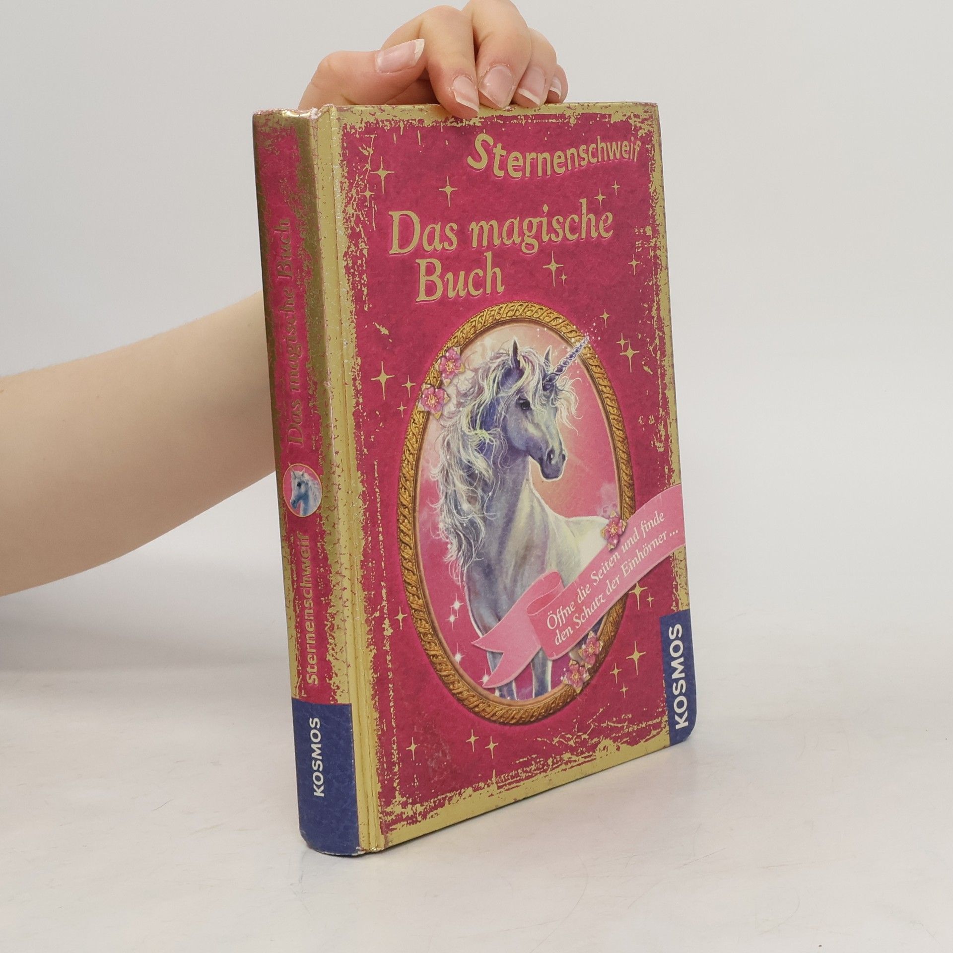 Carolin Ina Schröter Sternenschweif - das magische Buch