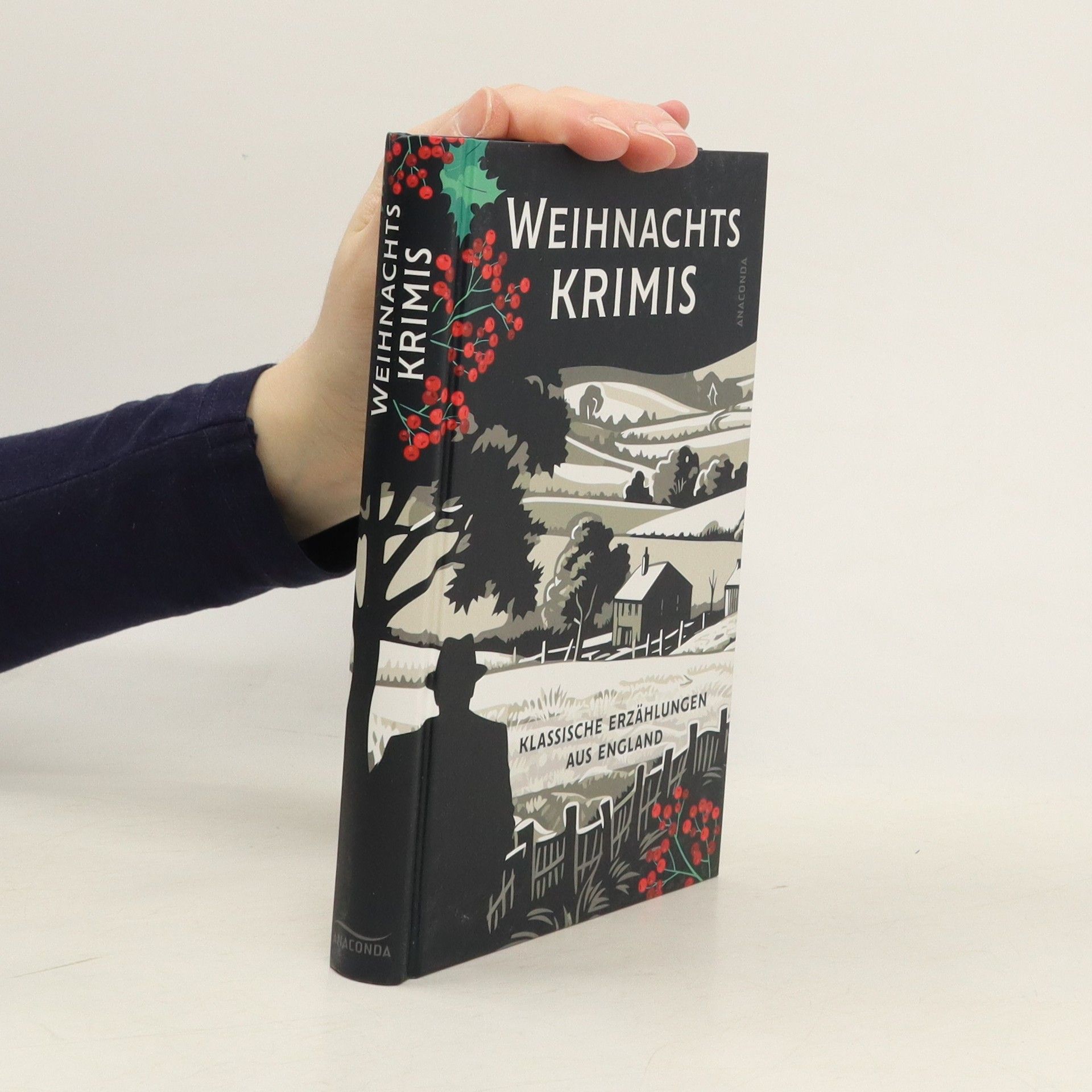 Kolektiv autorů Weihnachtskrimis