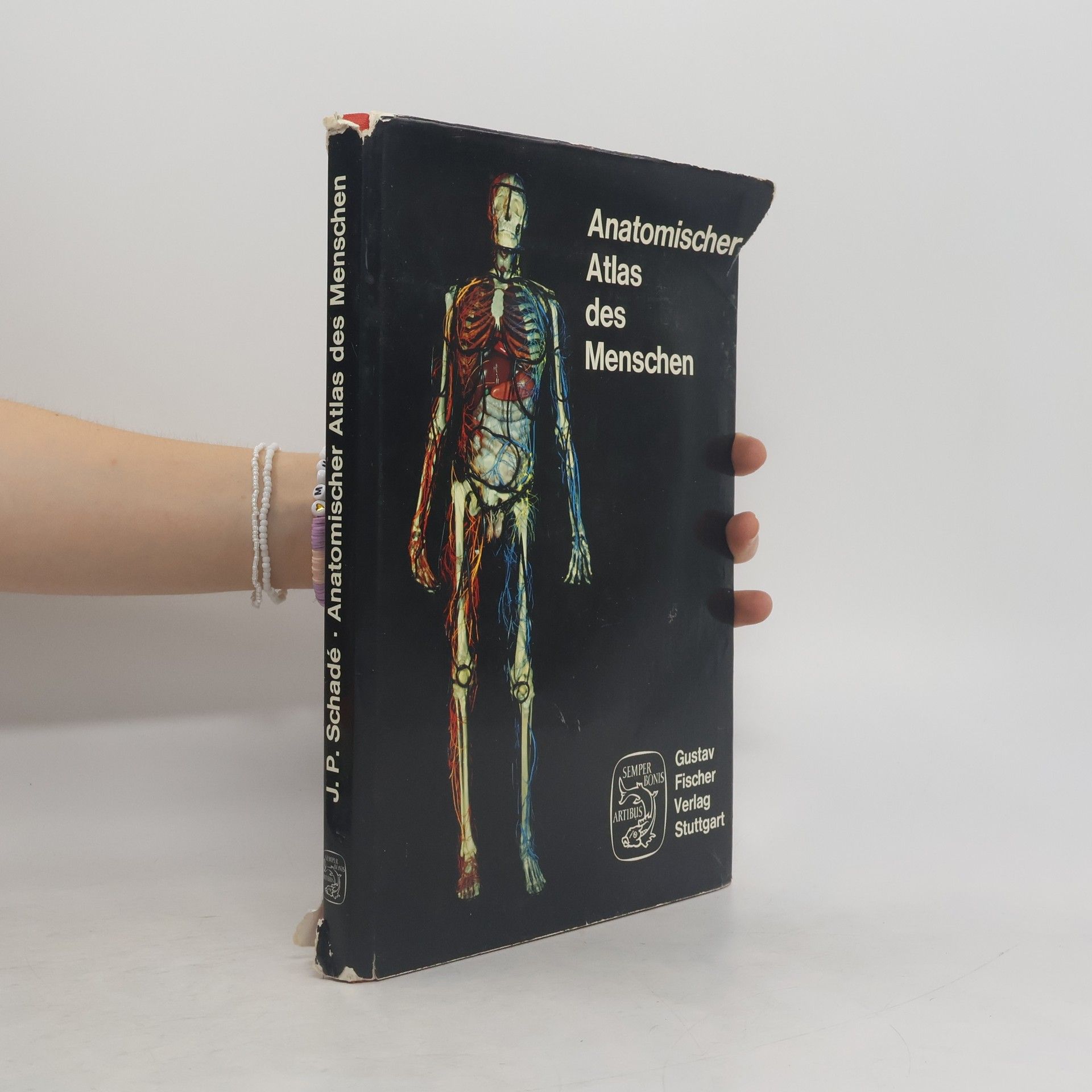 J. P. Schadé Anatomischer Atlas des Menschen