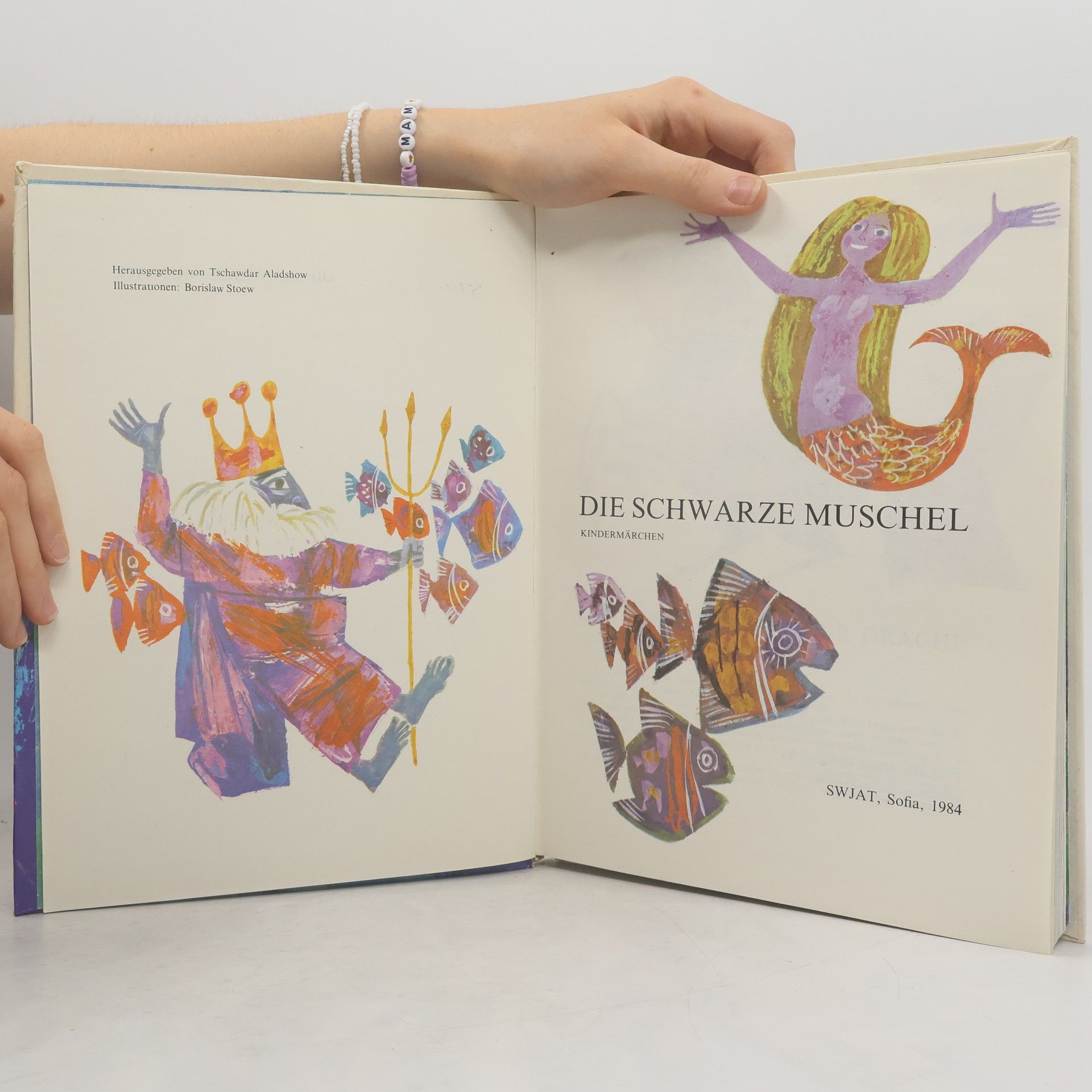 Autorenkollektiv Die schwarze Muschel