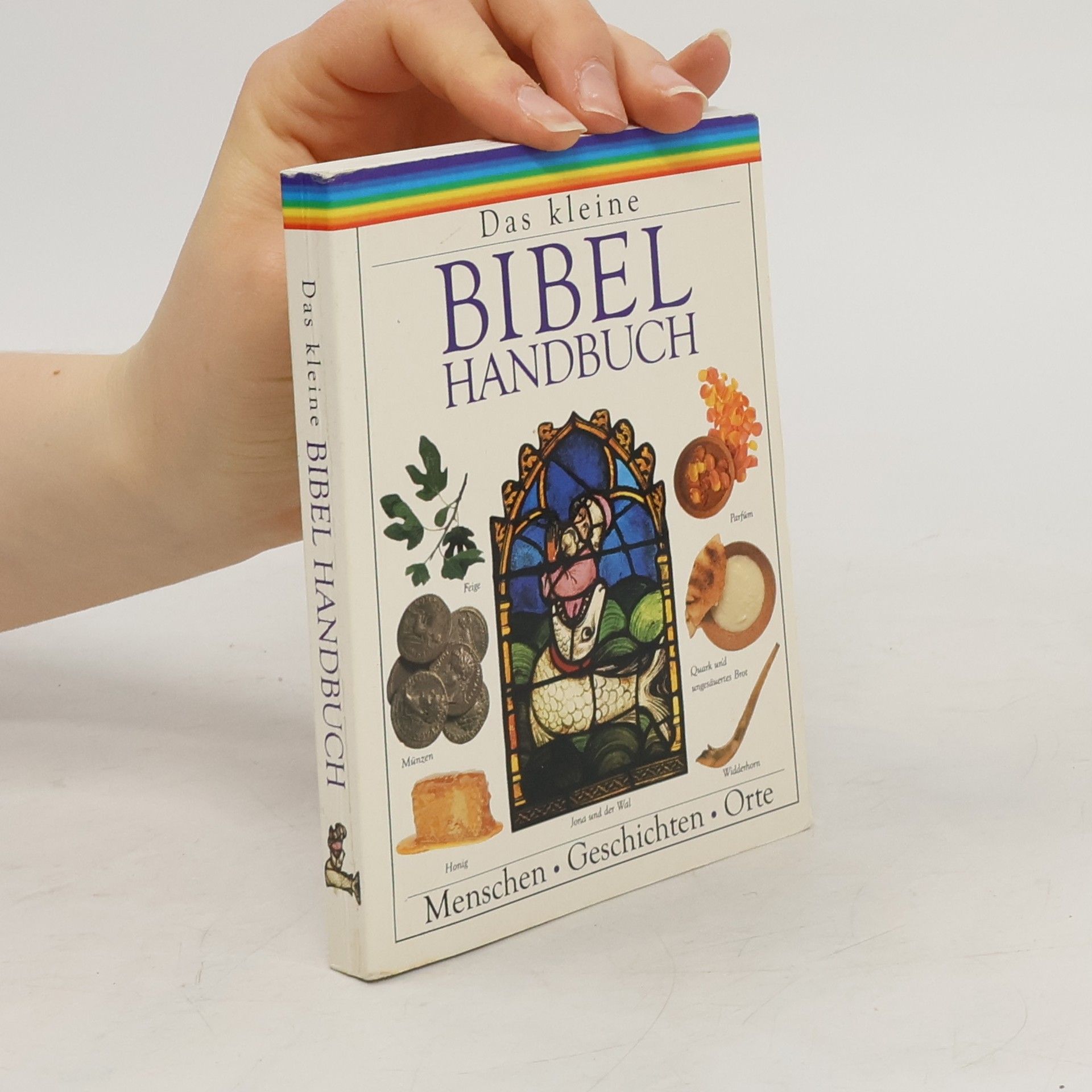 Myrtle Langley Das kleine Bibel-Handbuch