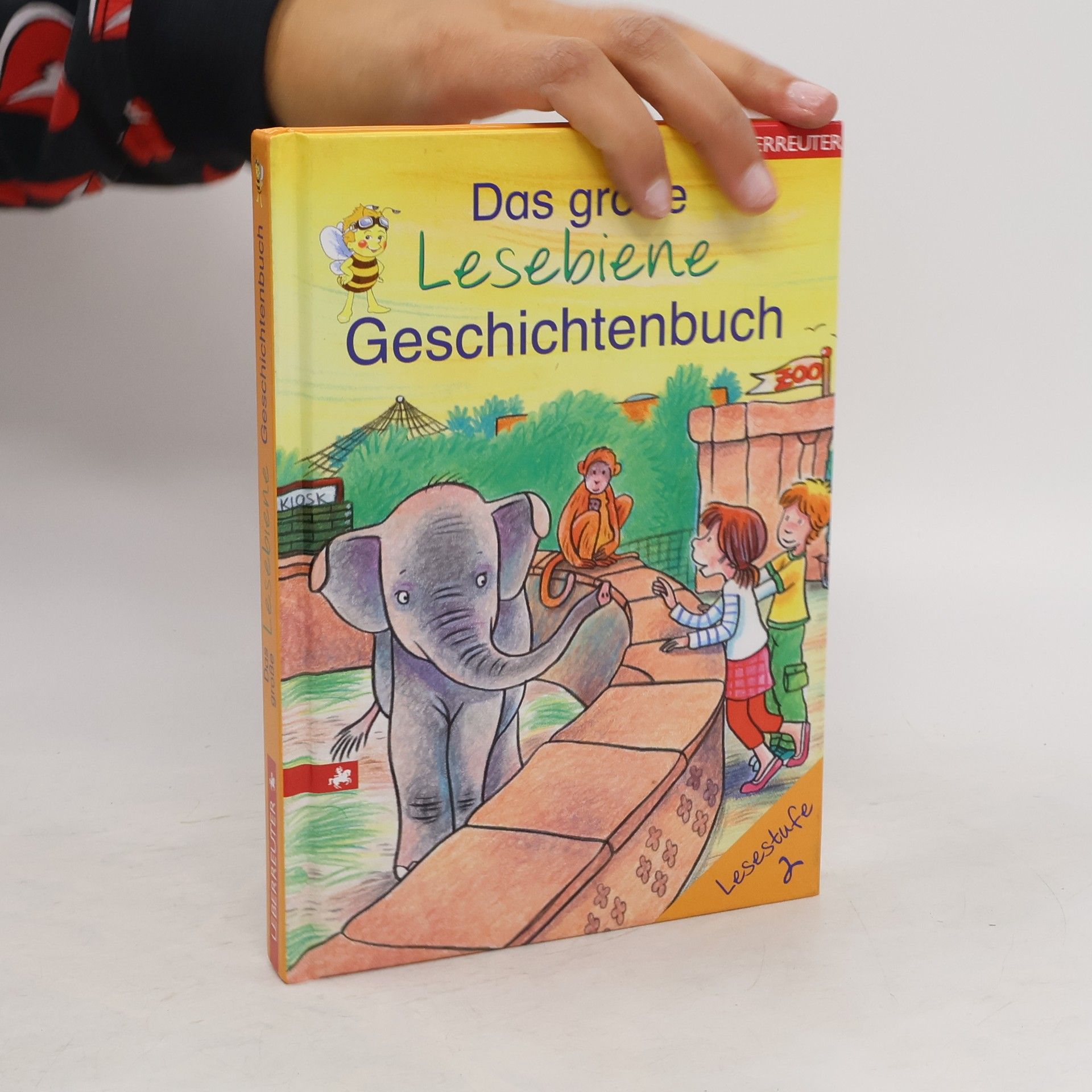 Katja Schmiedeskamp Das große Lesebiene-Geschichtenbuch