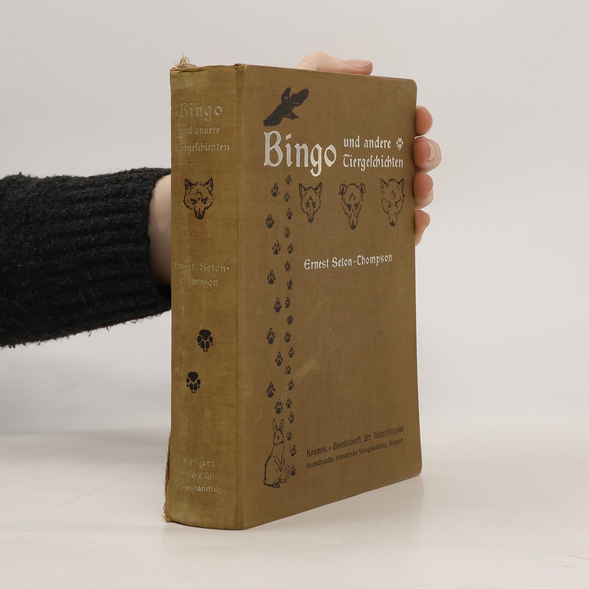 Ernest Thompson Seton Bingo und andere Tiergeschichten