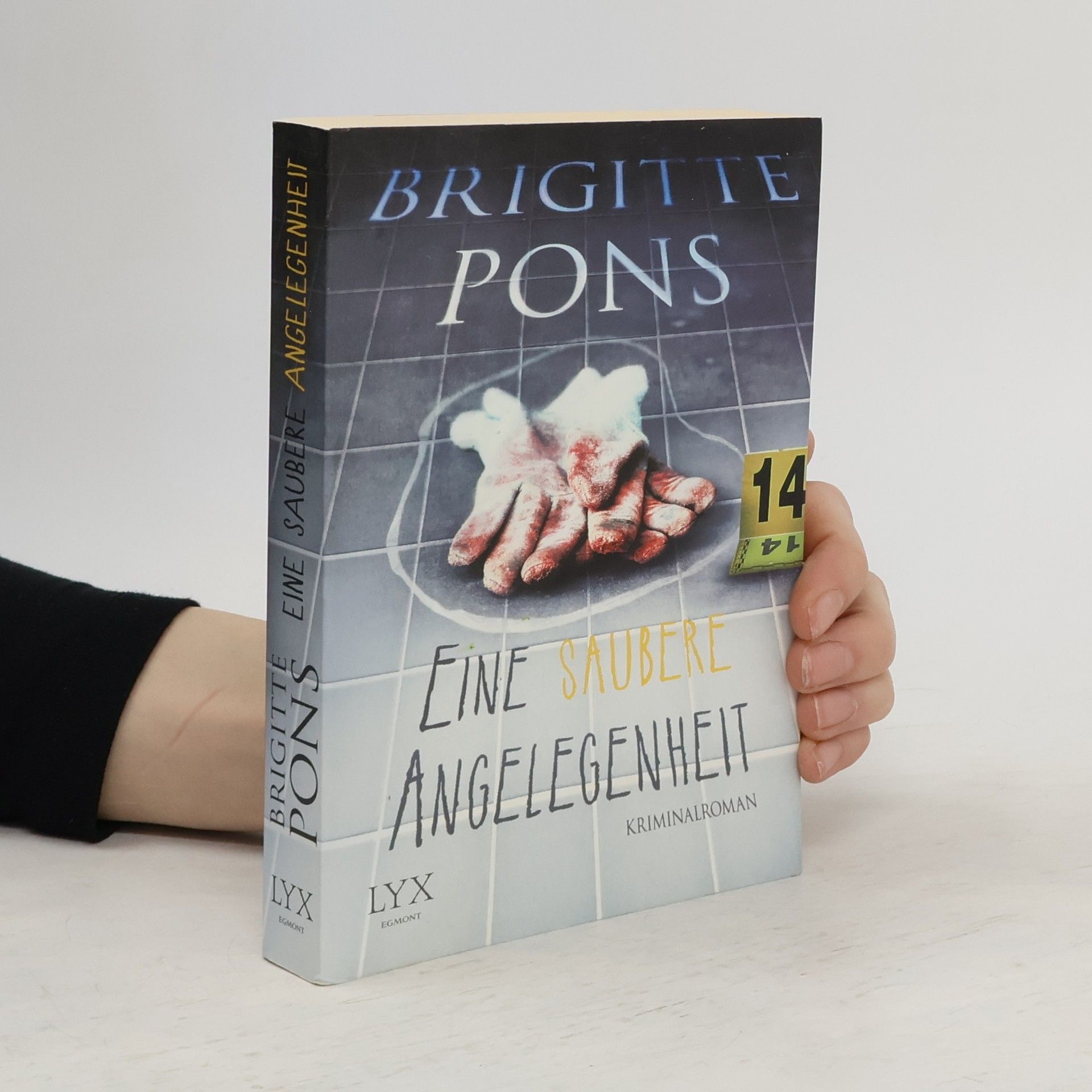 Brigitte Pons Eine saubere Angelegenheit