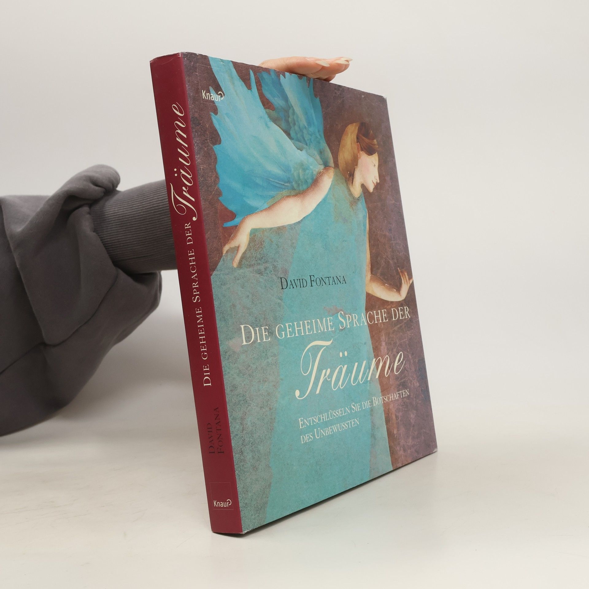 David Fontana Die geheime Sprache der Träume