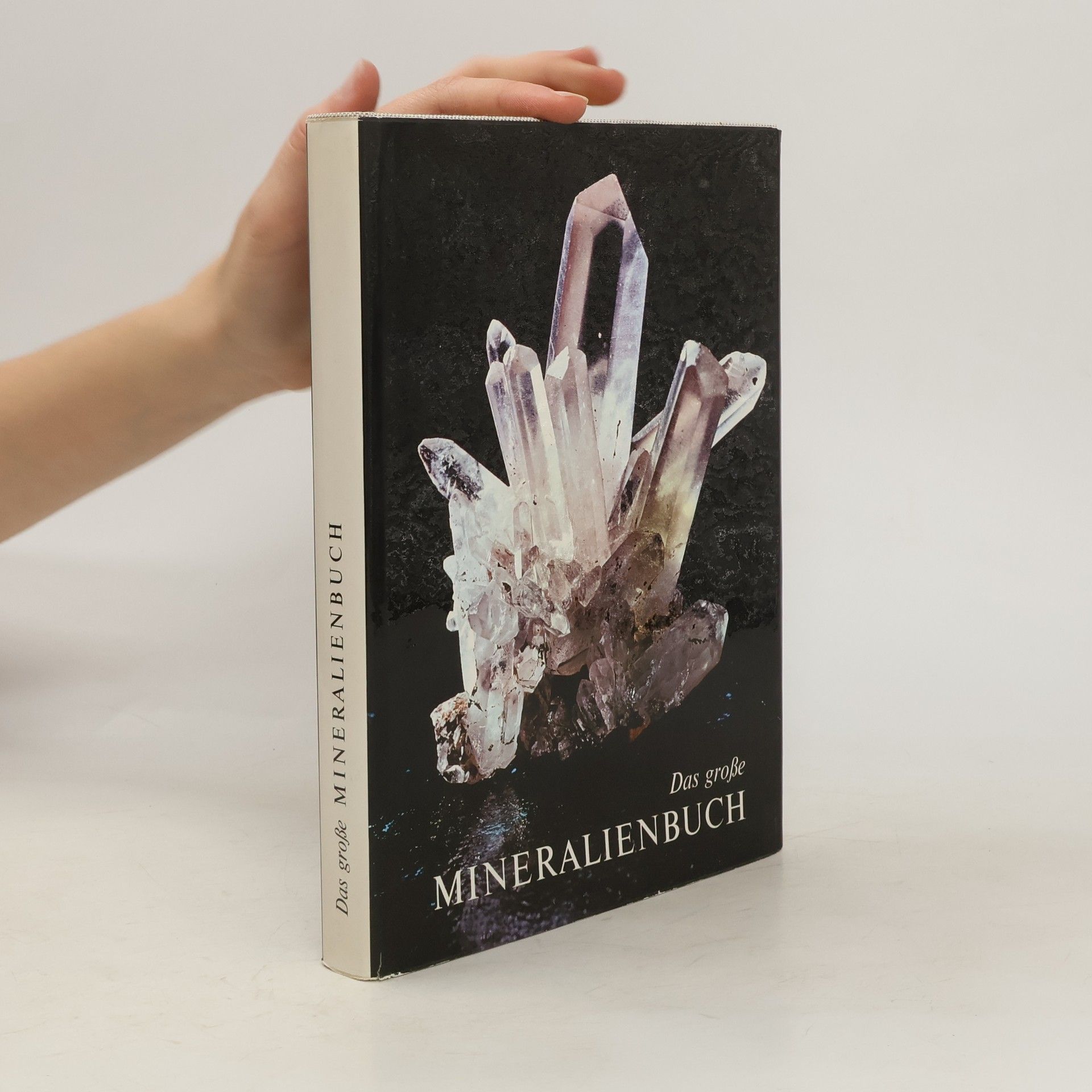 Josef Ladurner Das große Mineralienbuch