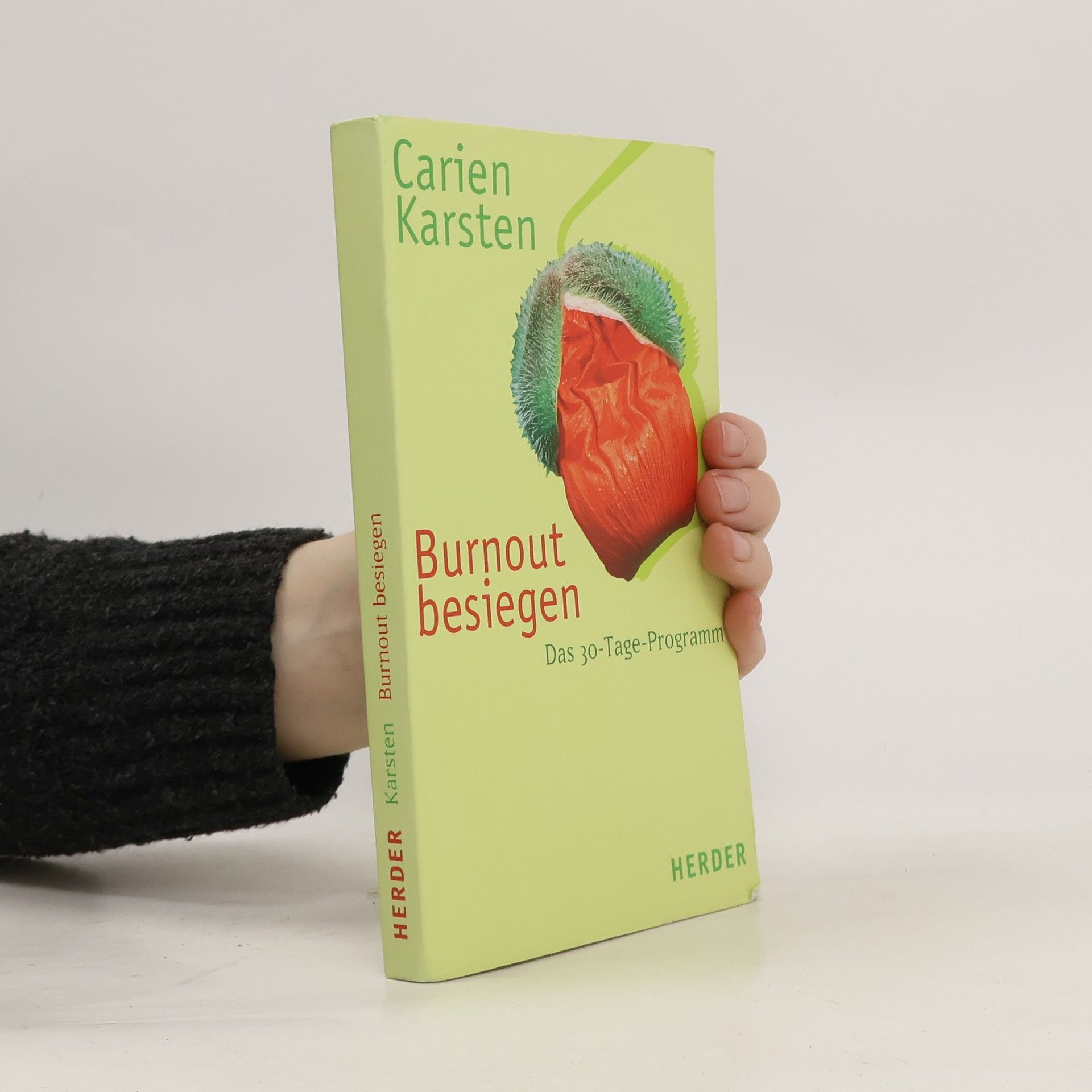 Carien Karsten Burnout besiegen