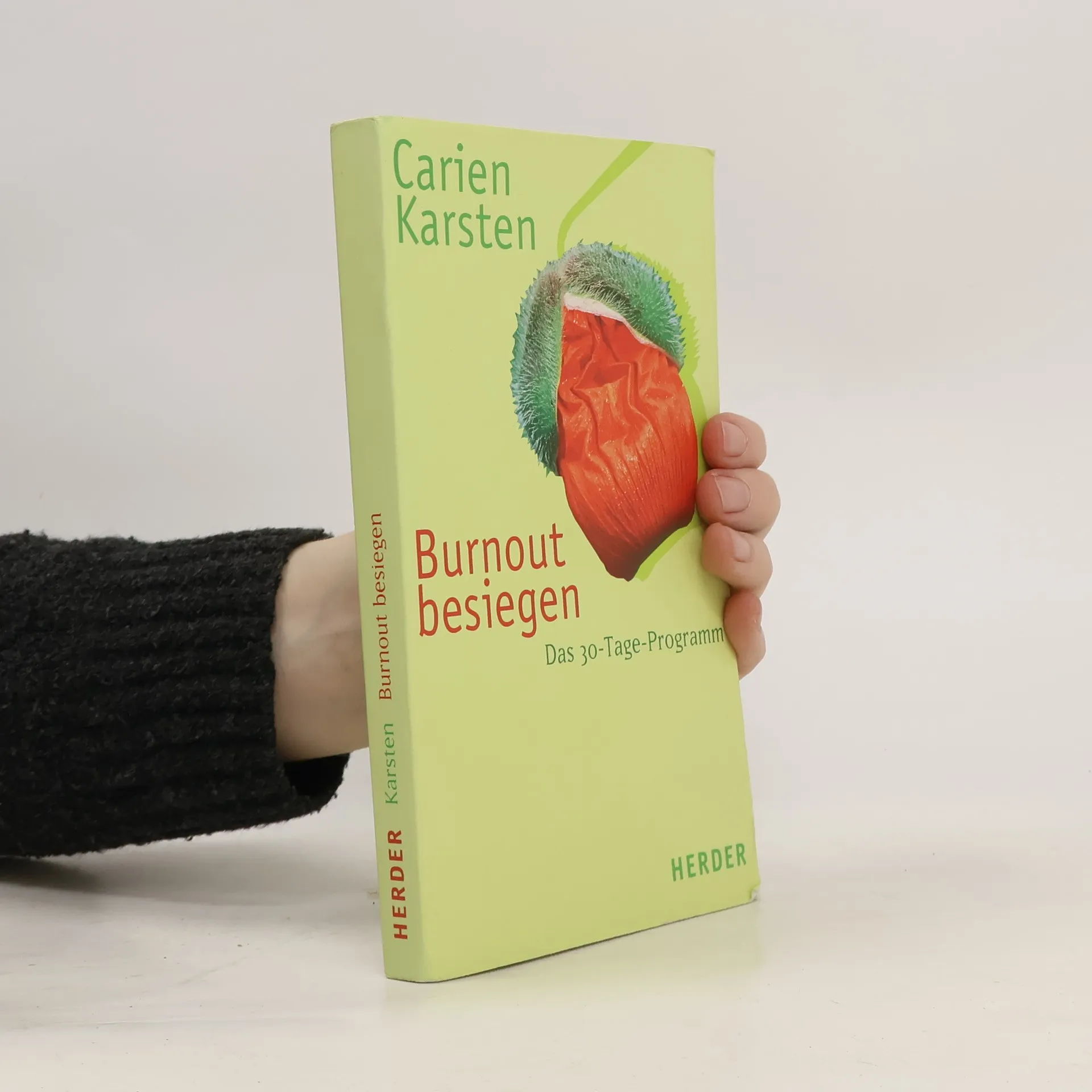 Burnout besiegen | Book | Paperback | Carien Karsten | DE