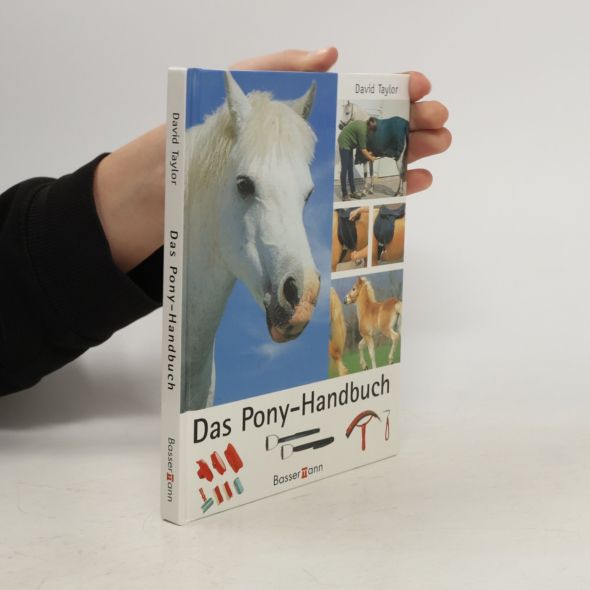 David Conrad Taylor Das Pony-Handbuch