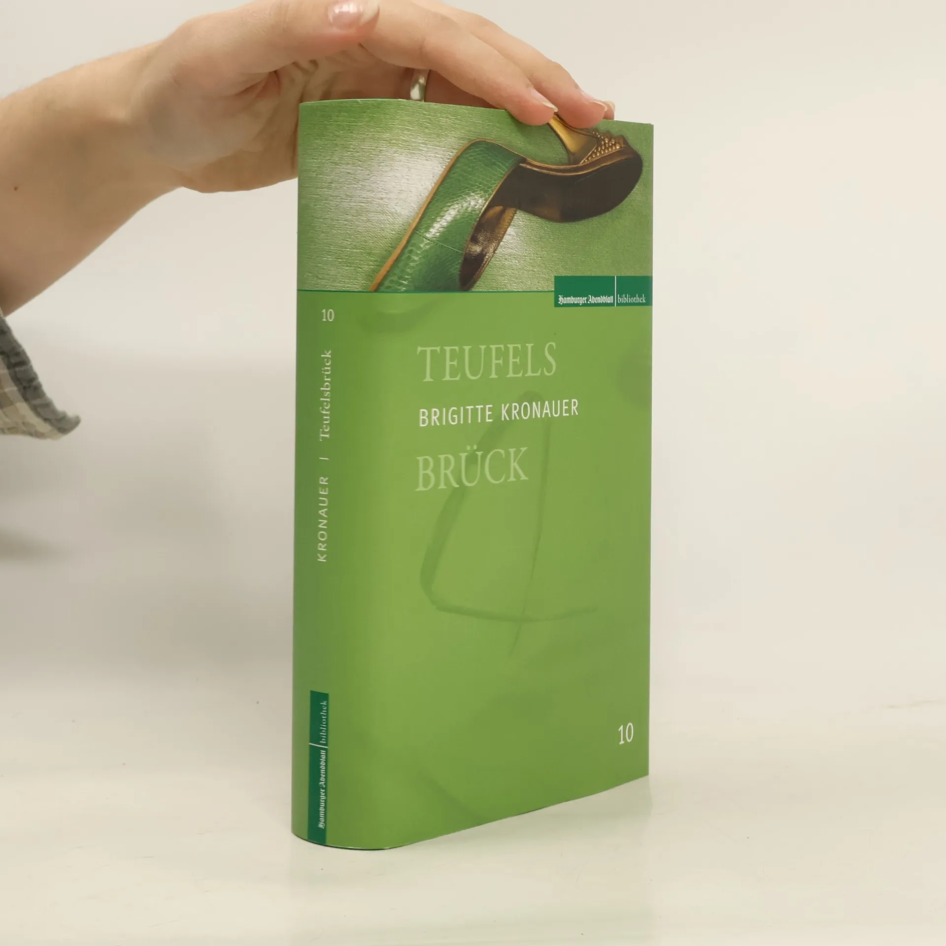 Teufelsbrück | Kniha | Brigitte Kronauer | DE