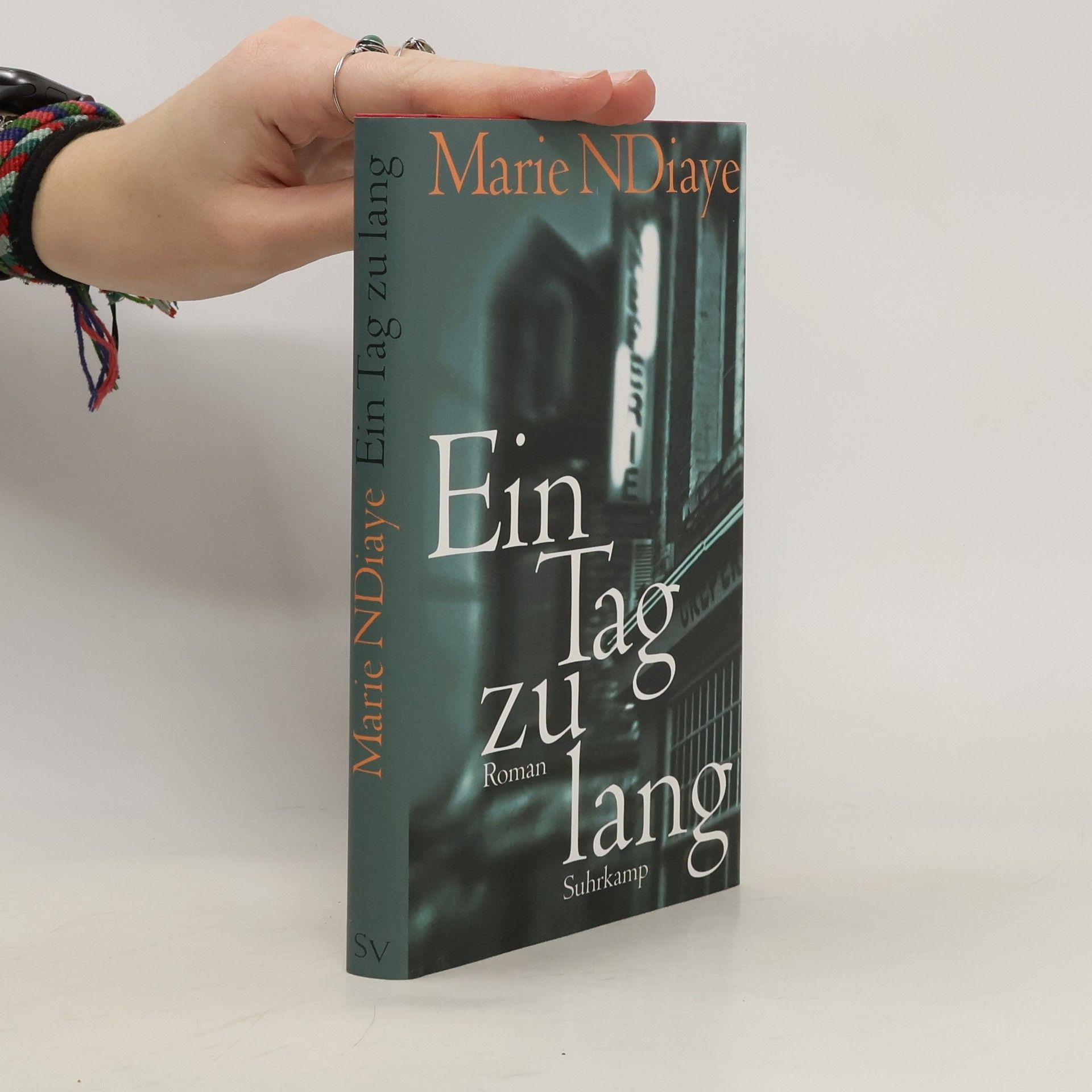 Marie NDiaye Ein Tag zu lang