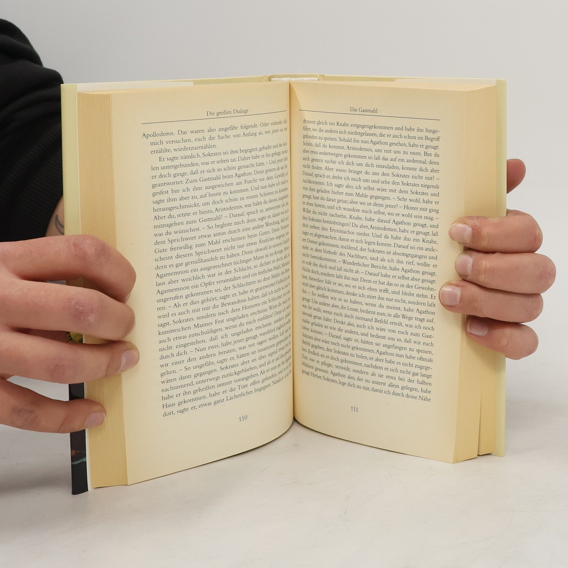 Plato Die großen Dialoge