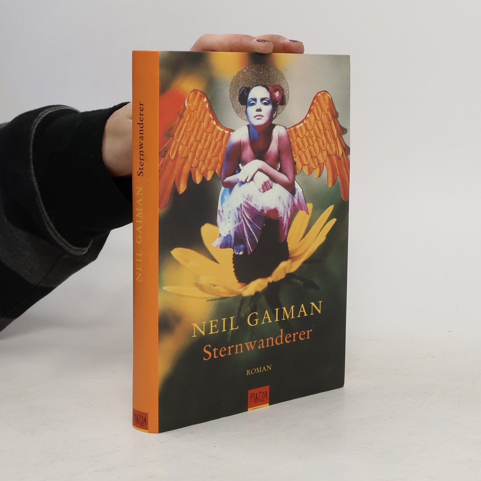 Neil Gaiman Sternwanderer