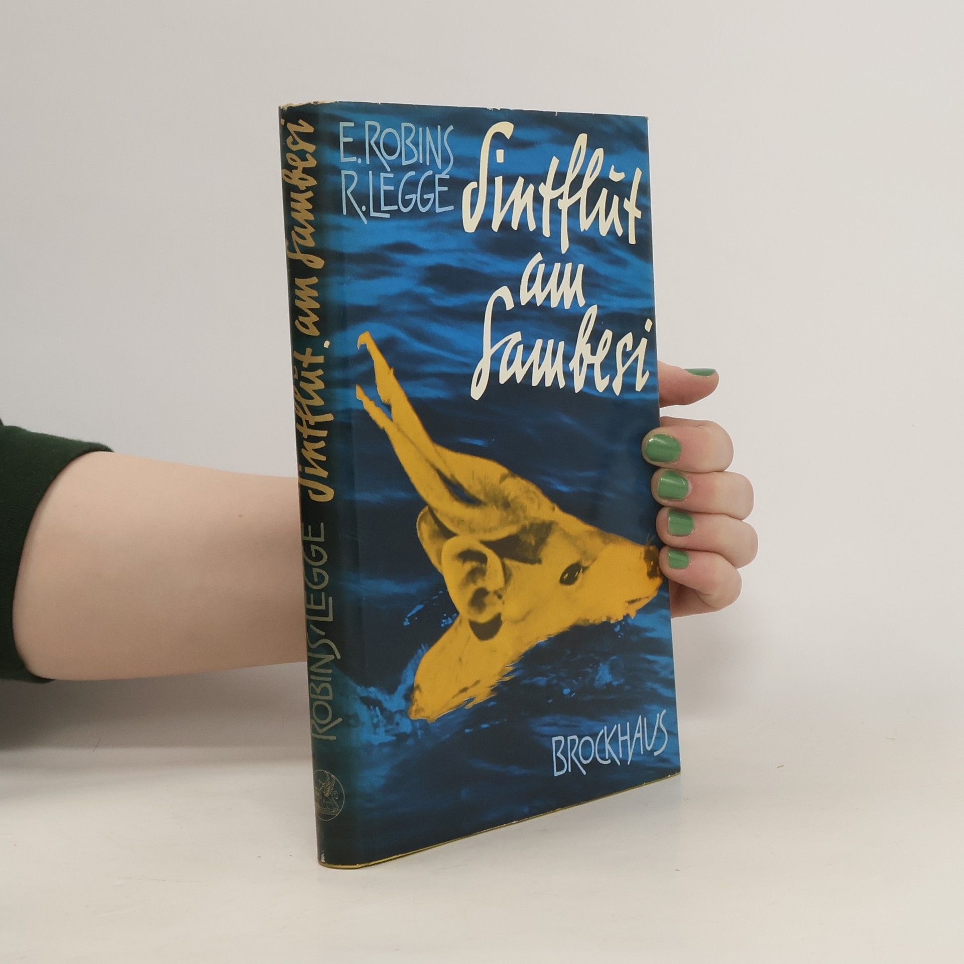 Eric Robins Sintflut am Sambesi