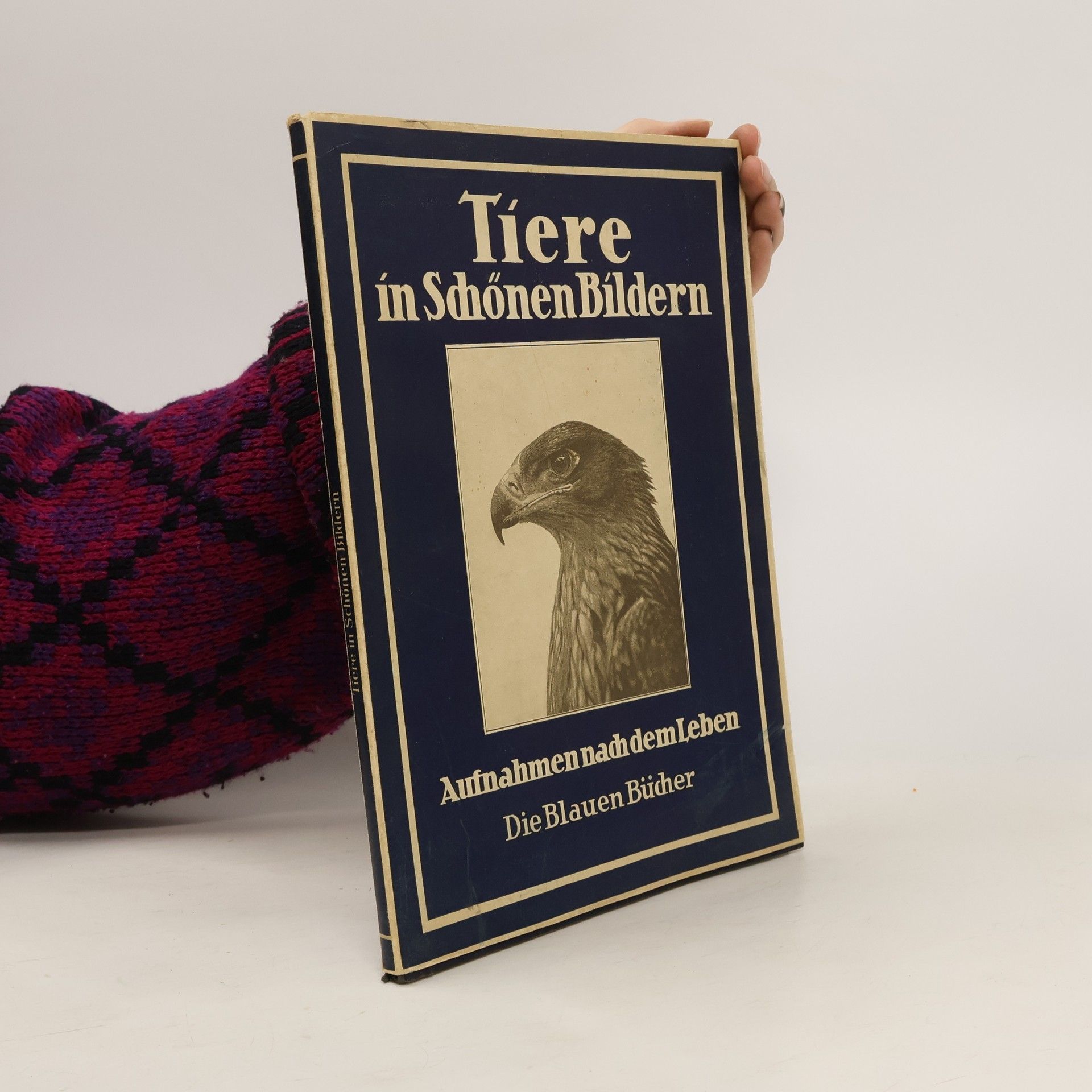 kolektiv Tiere in Schönen Bildern. Aufnahmen nach dem Leben