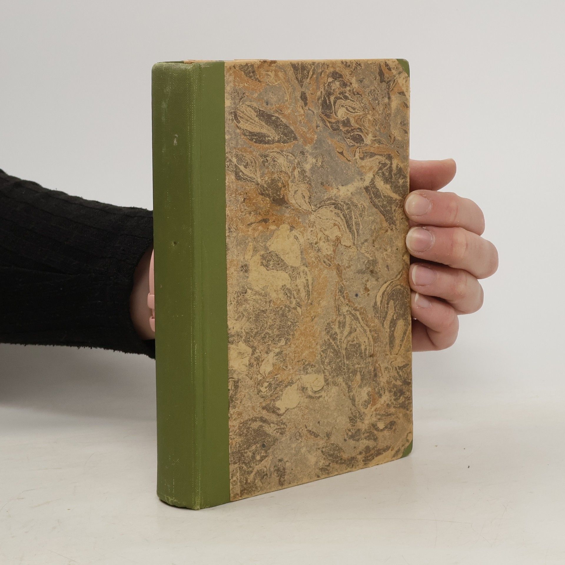Eugenie Marlitt Das Heideprinzesschen