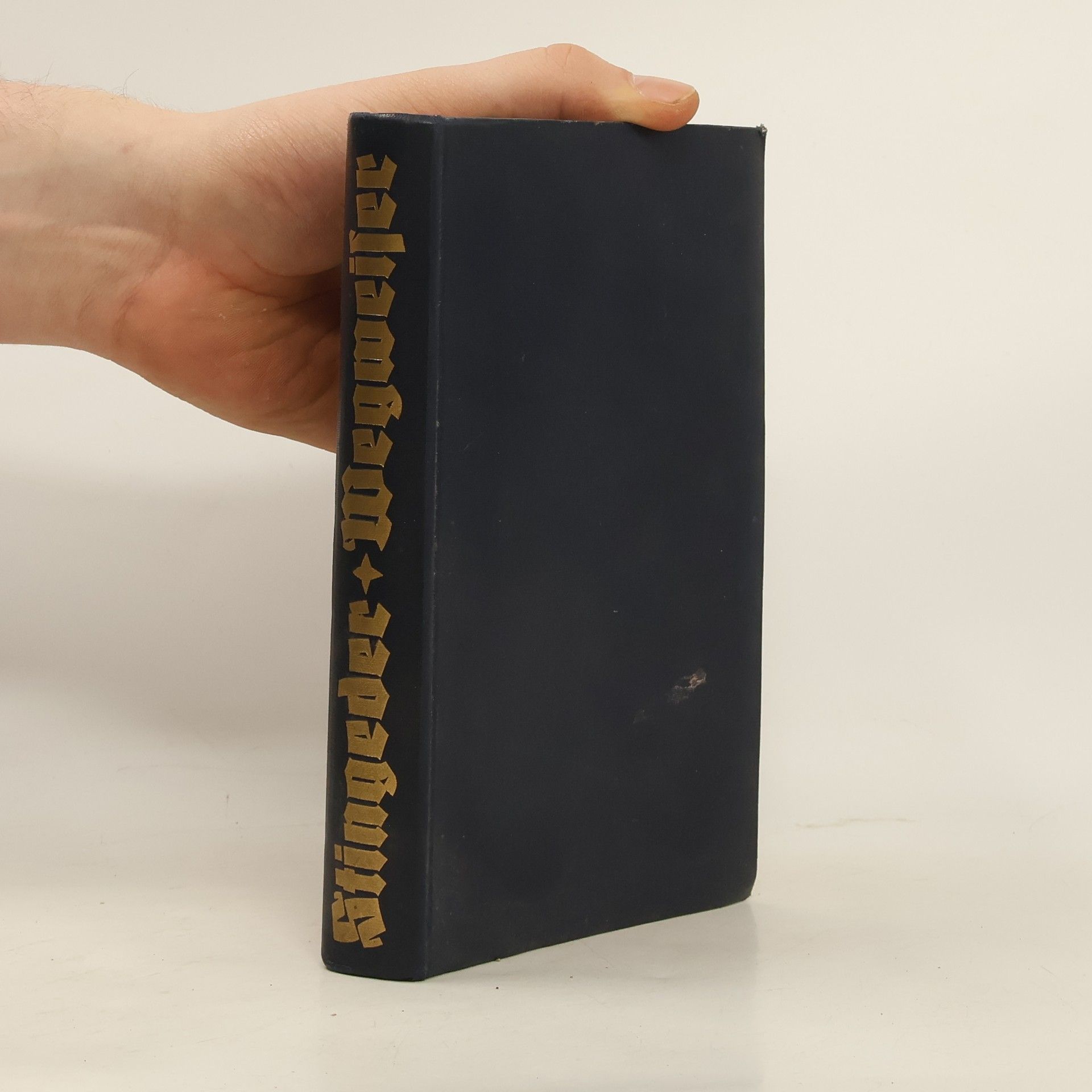 Franz Stingeder Wegweiser Durch die Predigtschatzkammern alter Meister