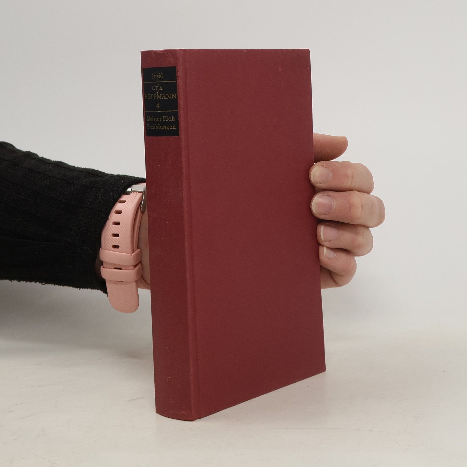 Meister Floh Letzte Erzählungen