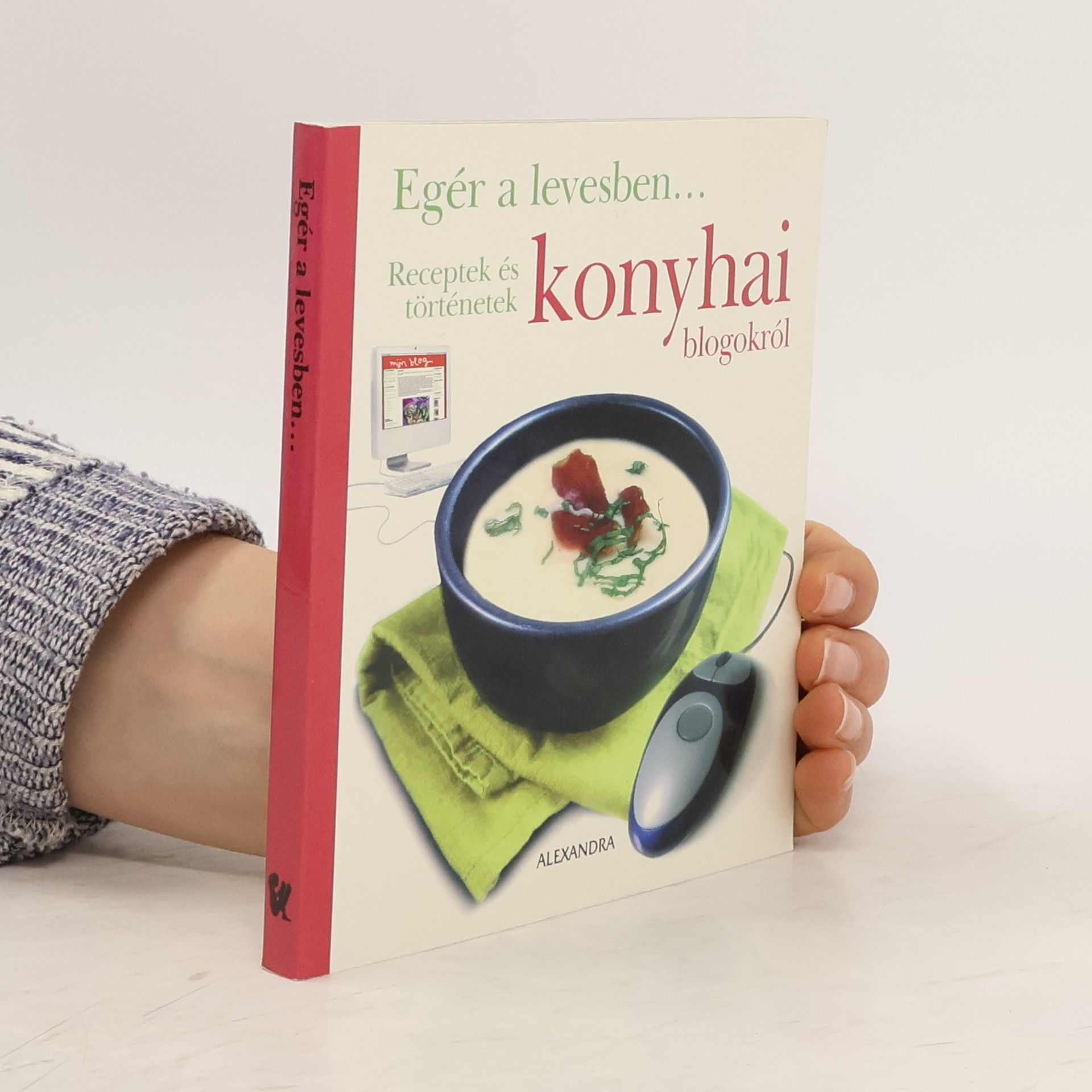 Autorenkollektiv Egér a levesben...
