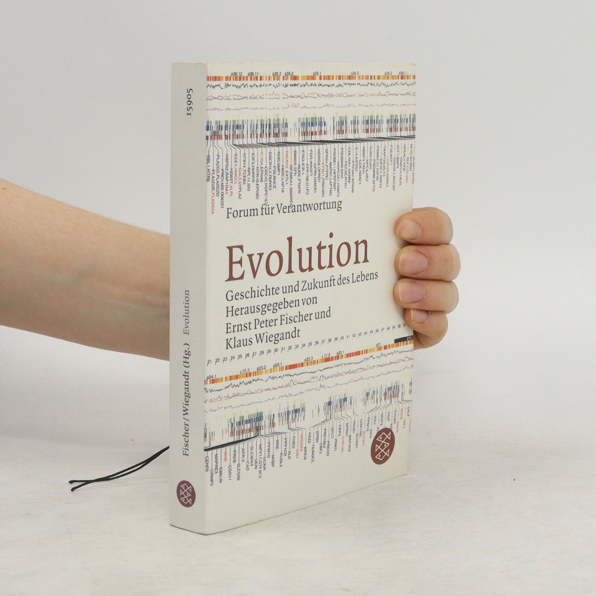 Ernst Fischer Evolution