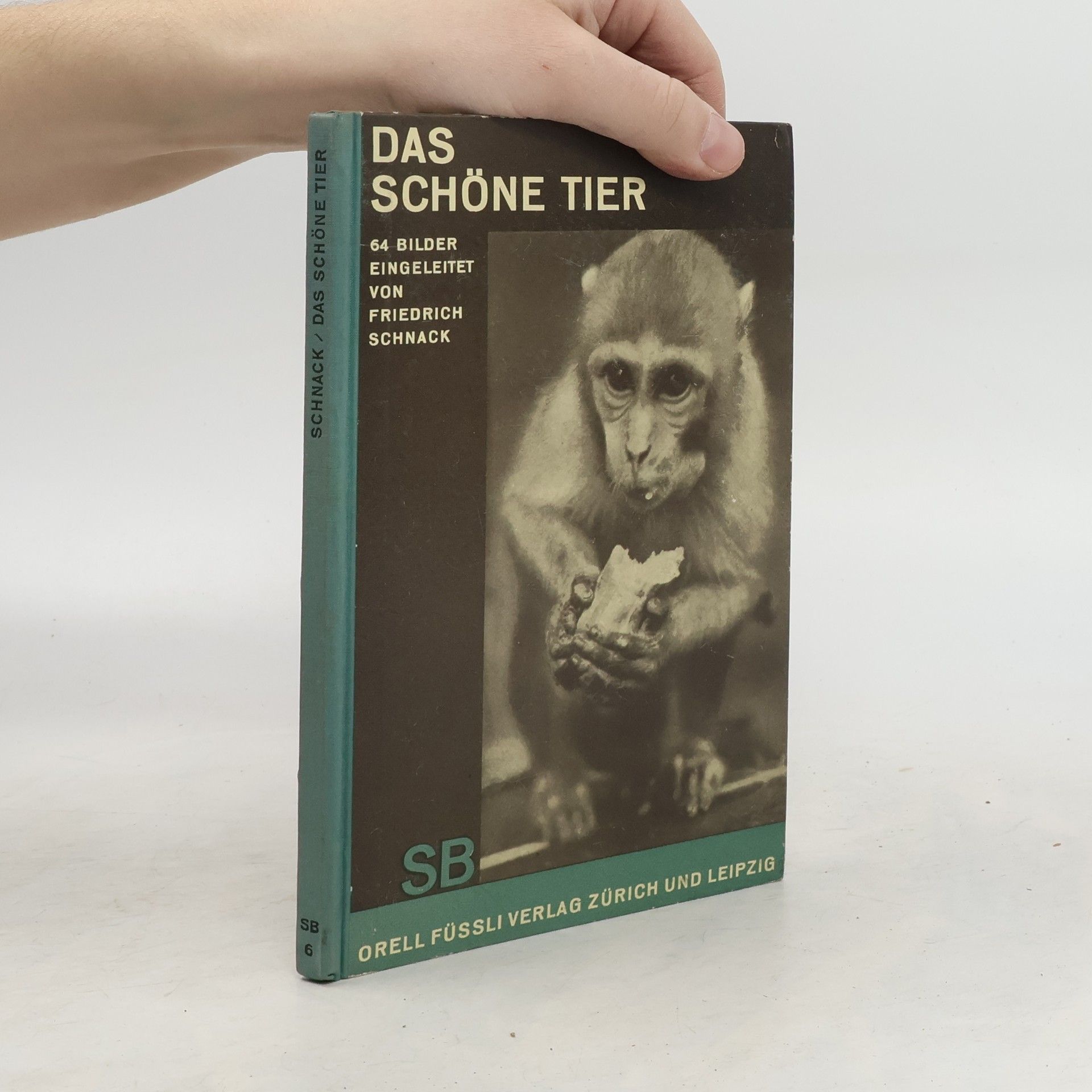 Friedrich Schnack Das schöne Tier 6
