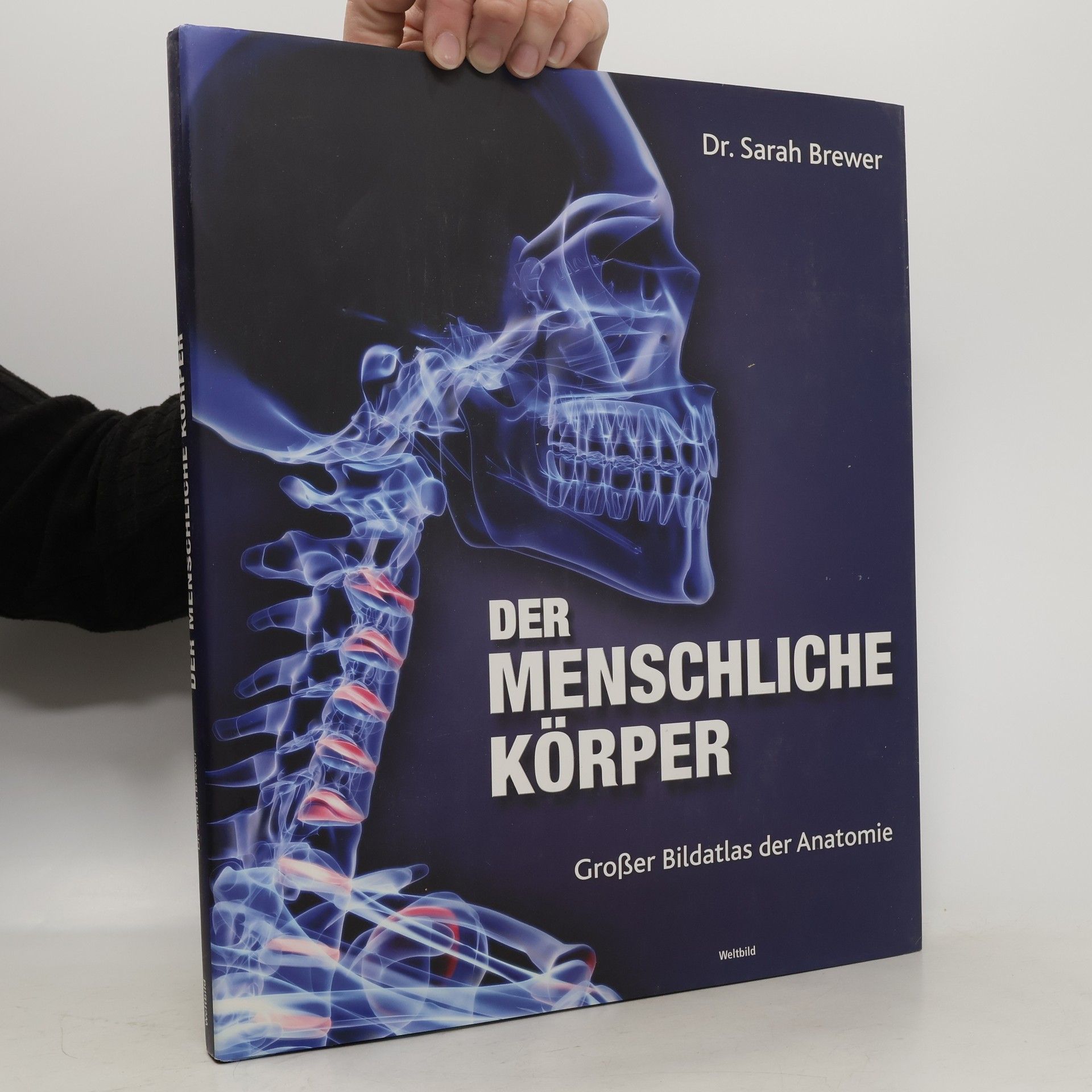 Sarah Brewer Der menschliche Körper