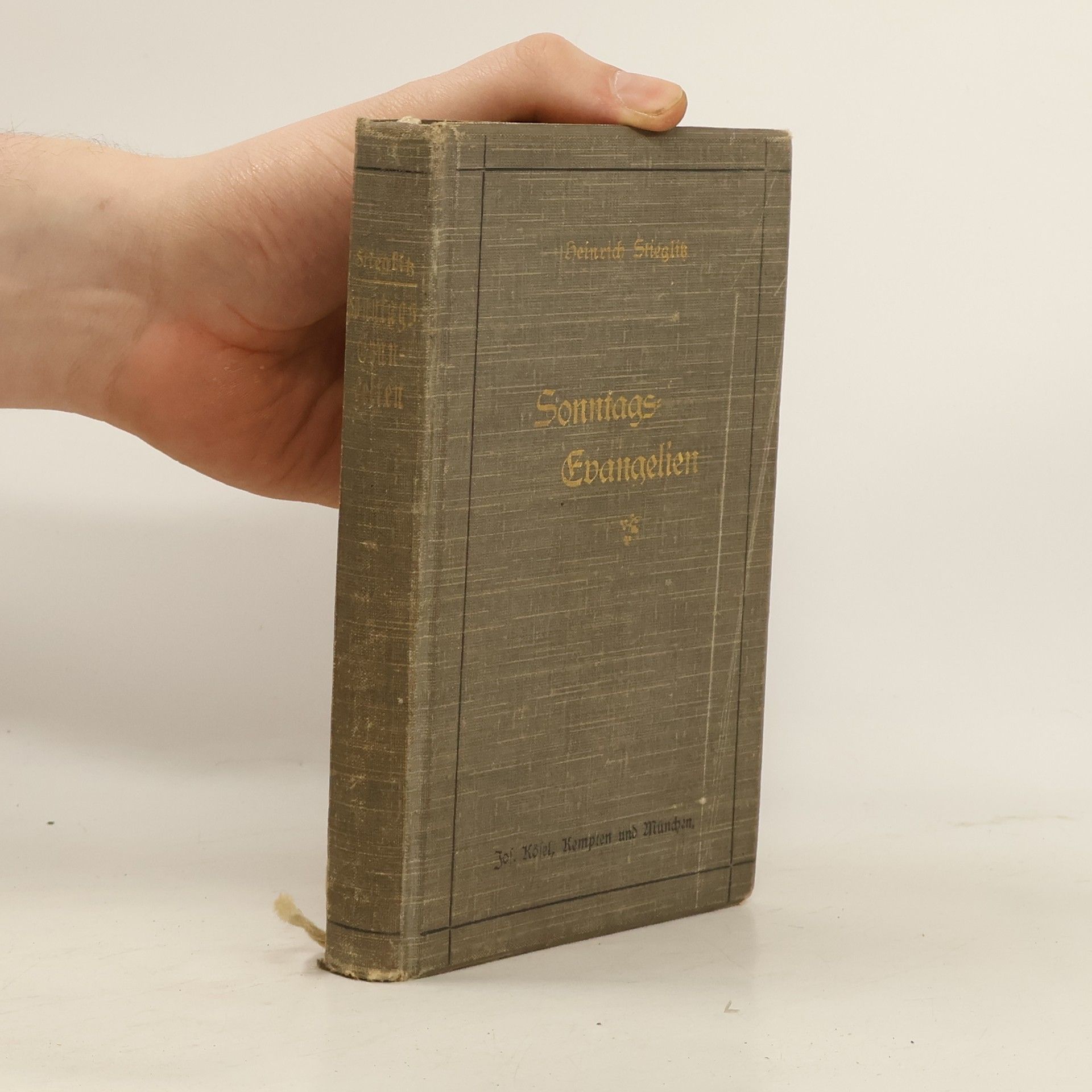 Heinrich Stieglitz Sonntags Evangelien