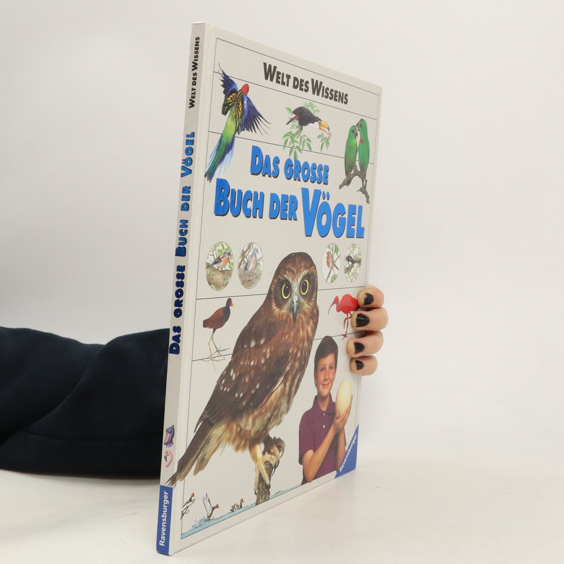 Ralph-Michael Schmidt Das grosse Buch der Vögel
