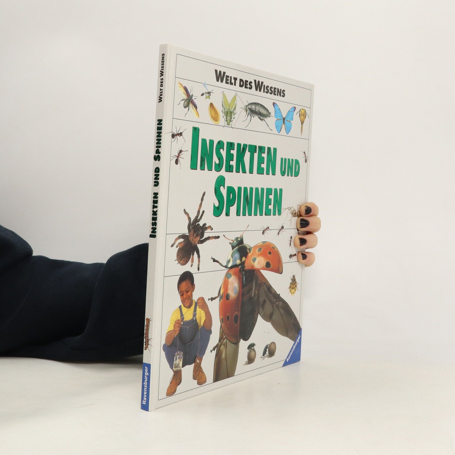 Sibylle Schneider Insekten und Spinnen