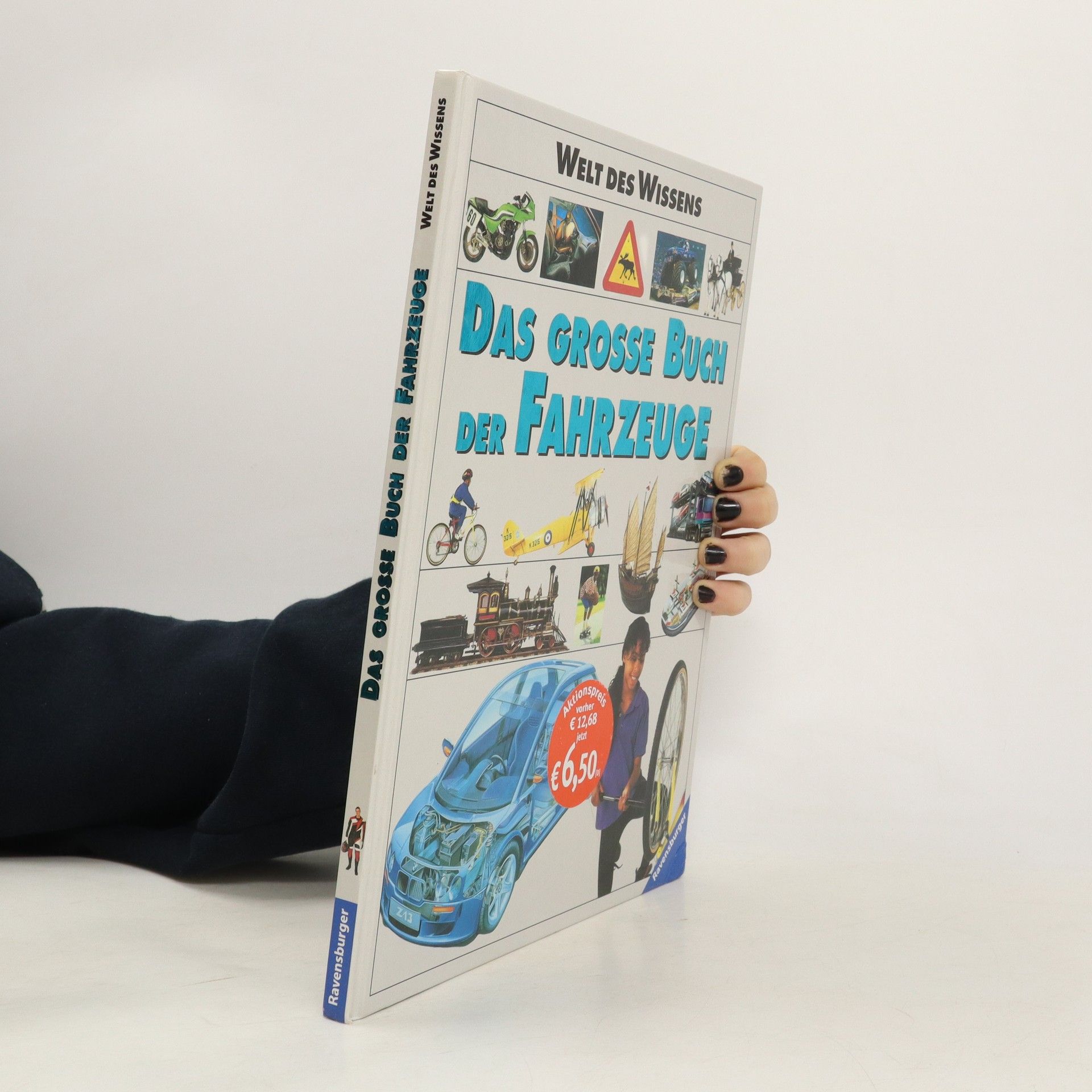Sibylle Schneider Das große Buch der Fahrzeuge